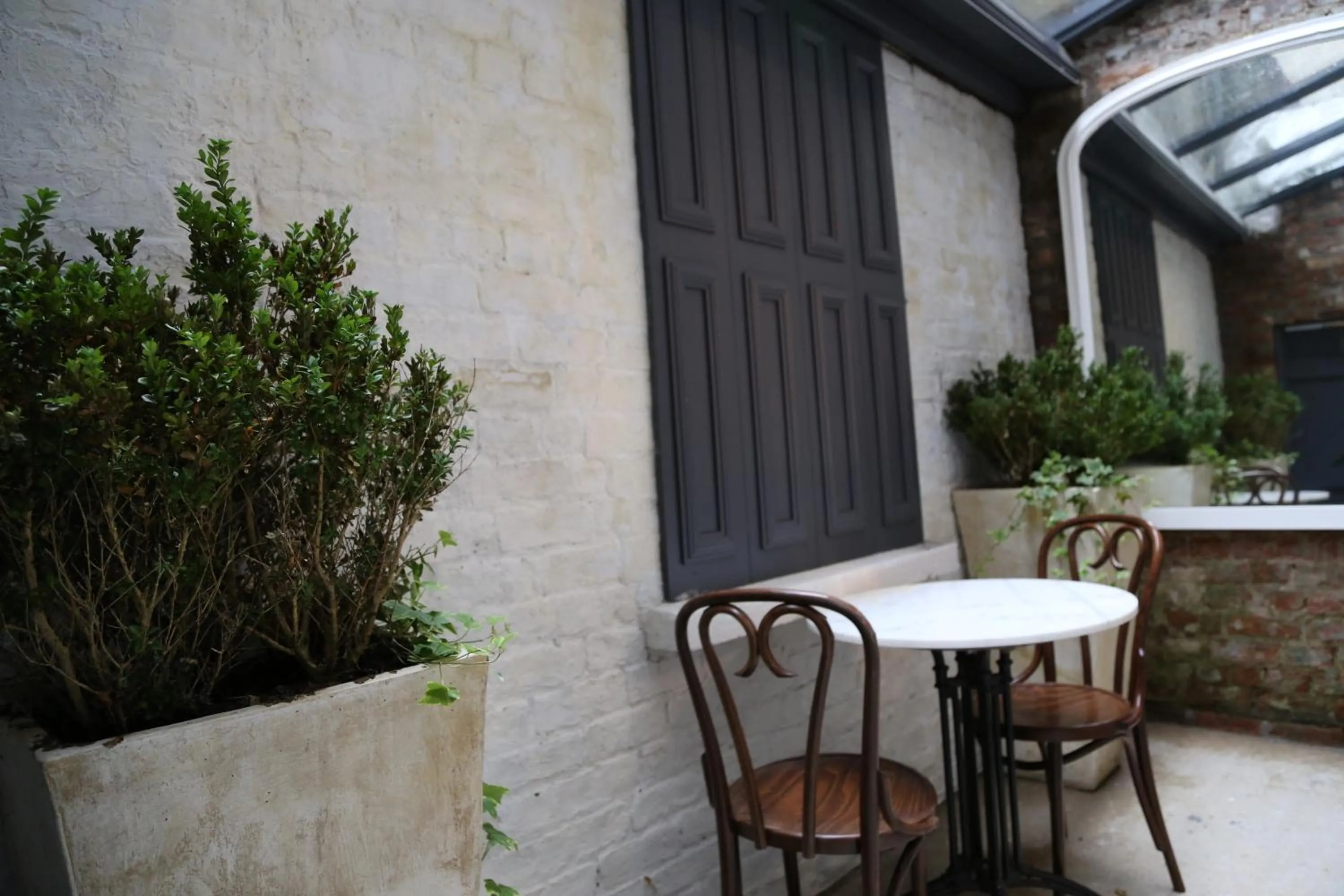 Garden in Number 8 The Townhouse