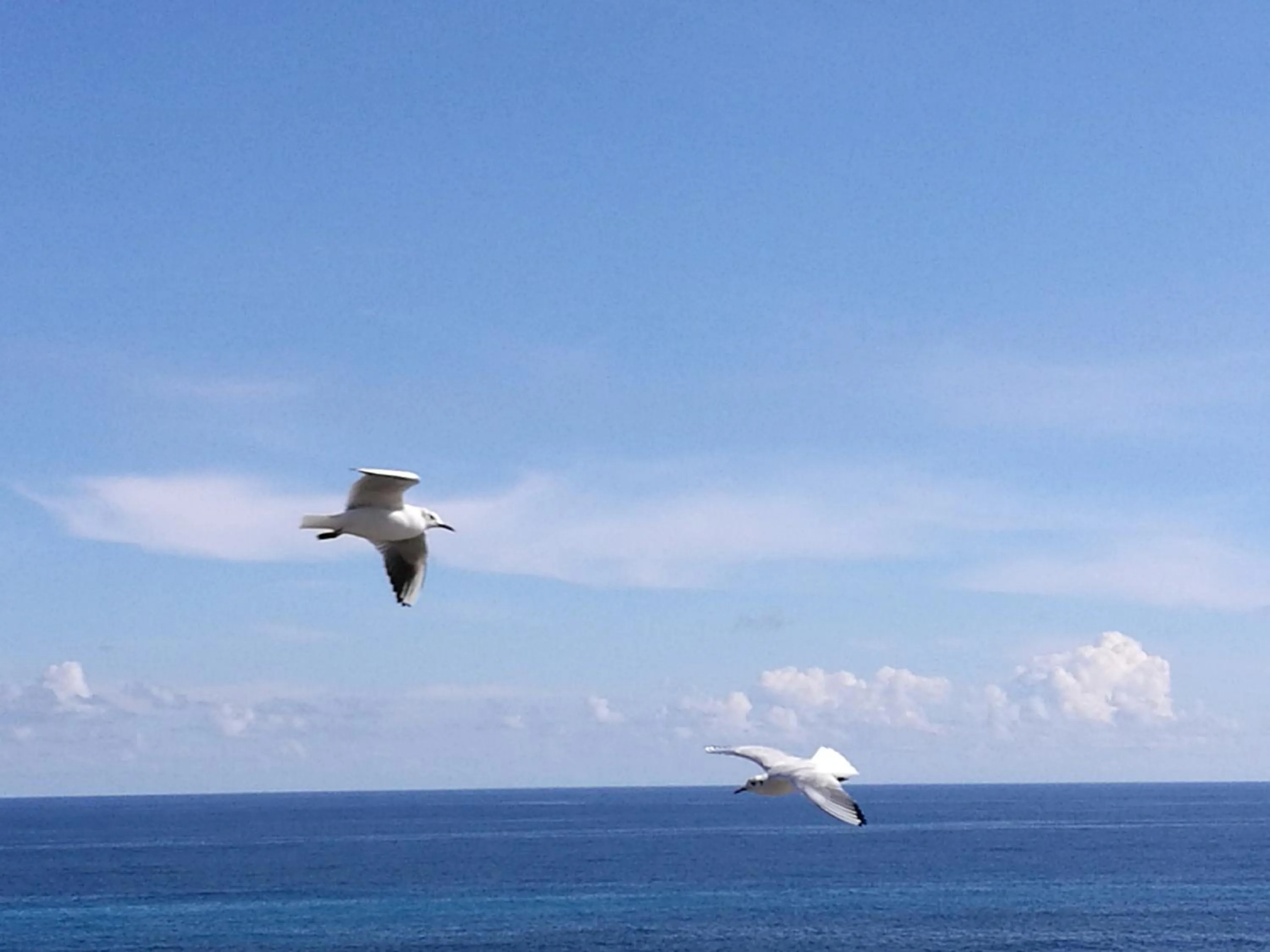 Sea view in Riccio di Mare - Large and bright flat on the sea