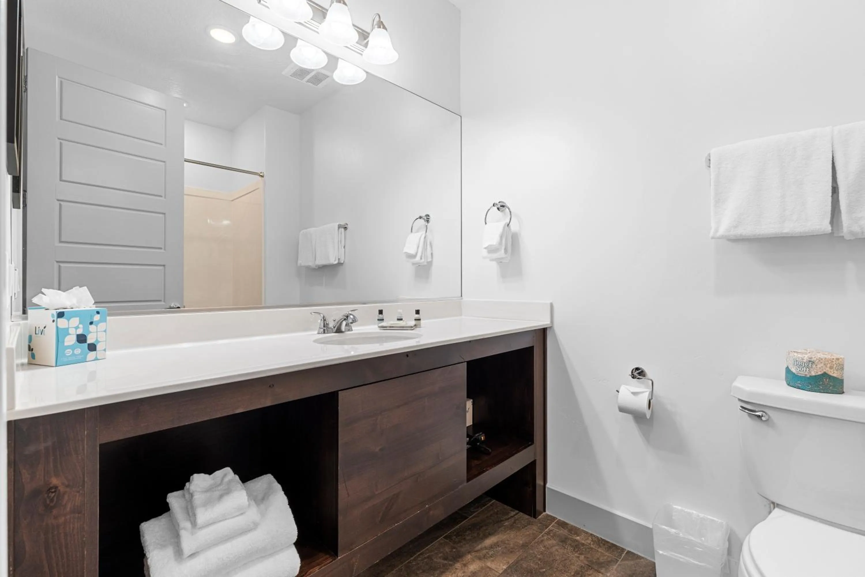 Toilet in Vacation Rentals at Sand Hollow Resort