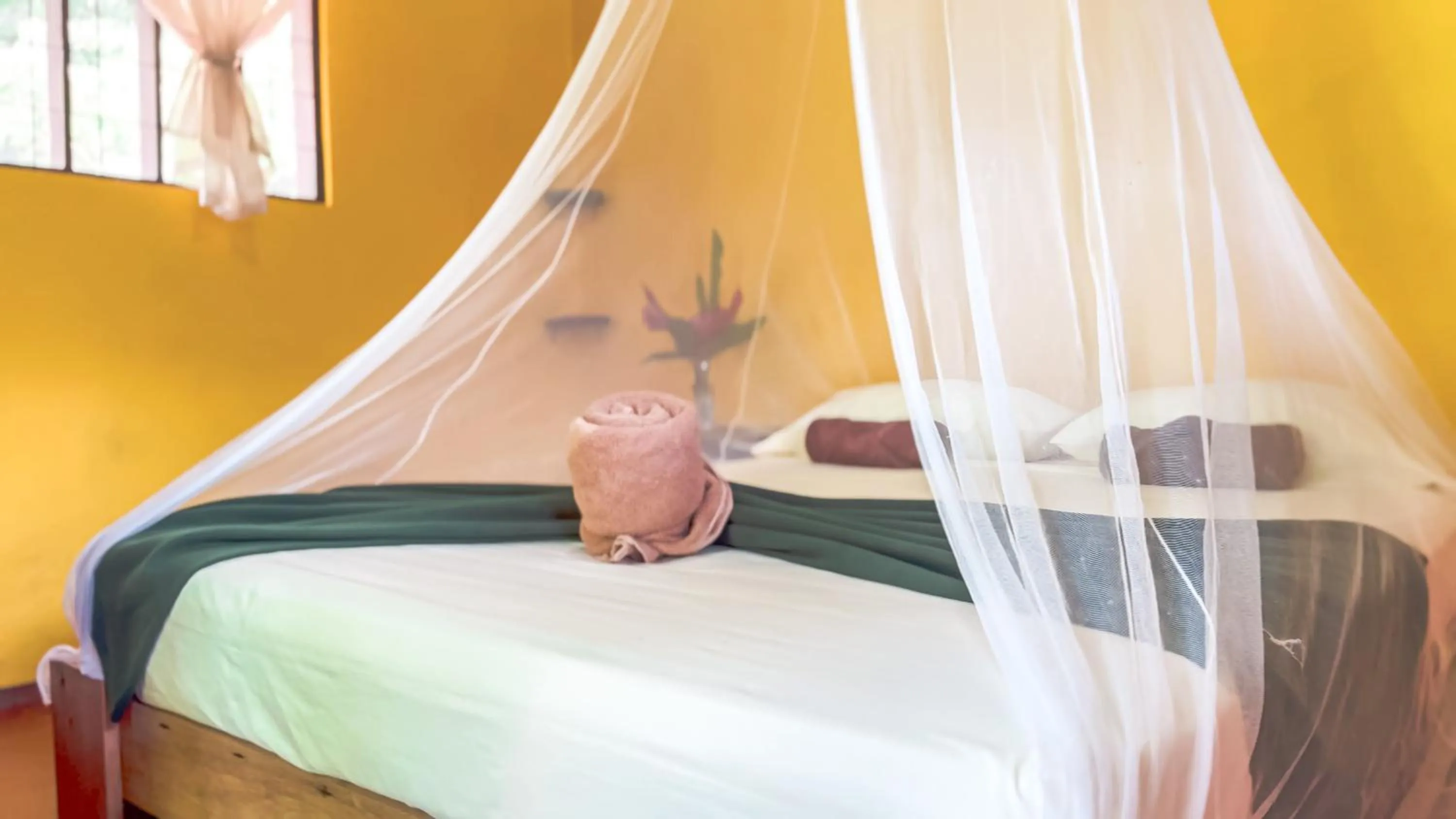 Standard Room with Garden View - single occupancy in Gran Gavilán del Sarapiquí Lodge