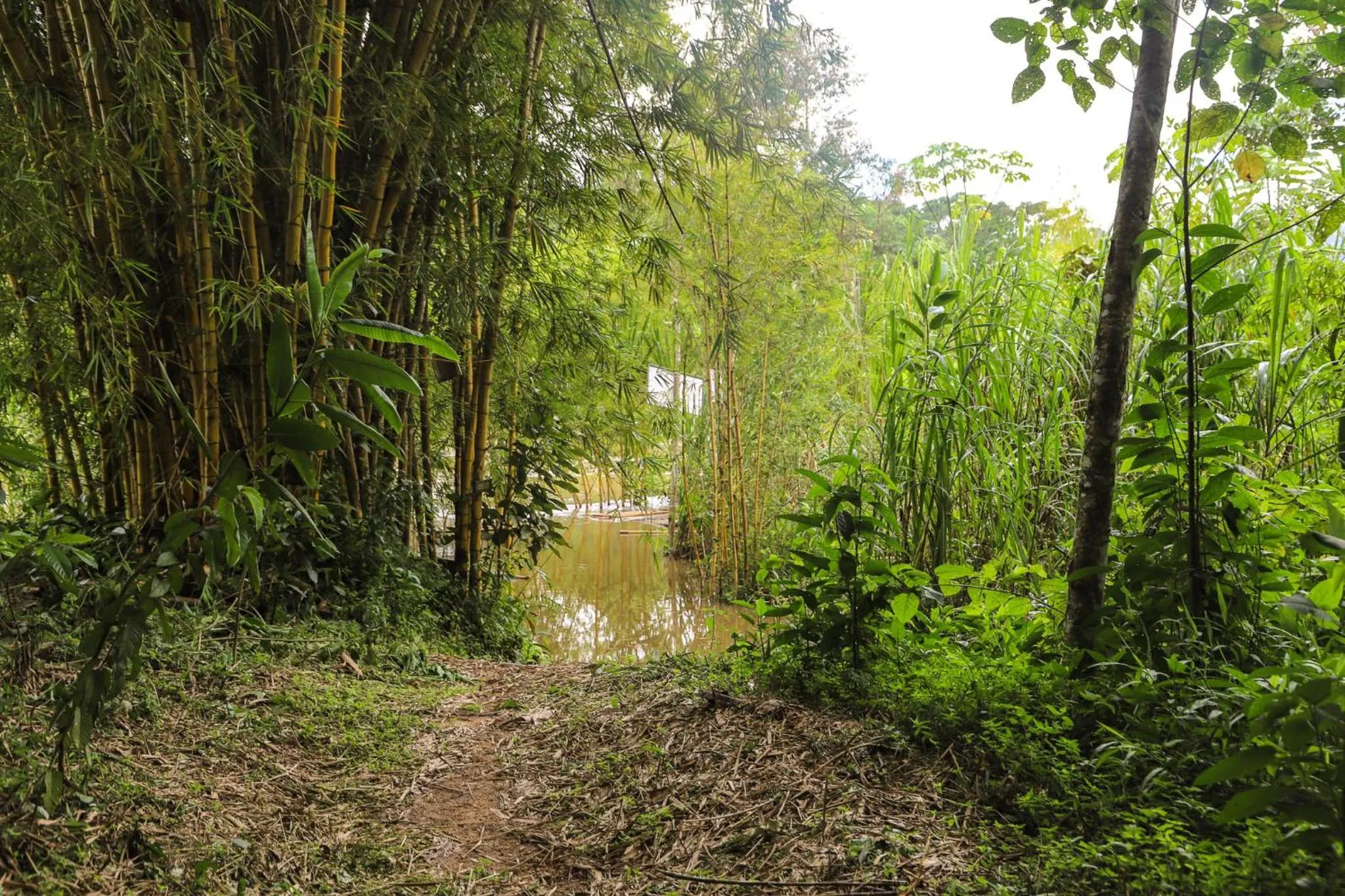 Hiking in Altavista Casahotel - Asociado Casa Andina