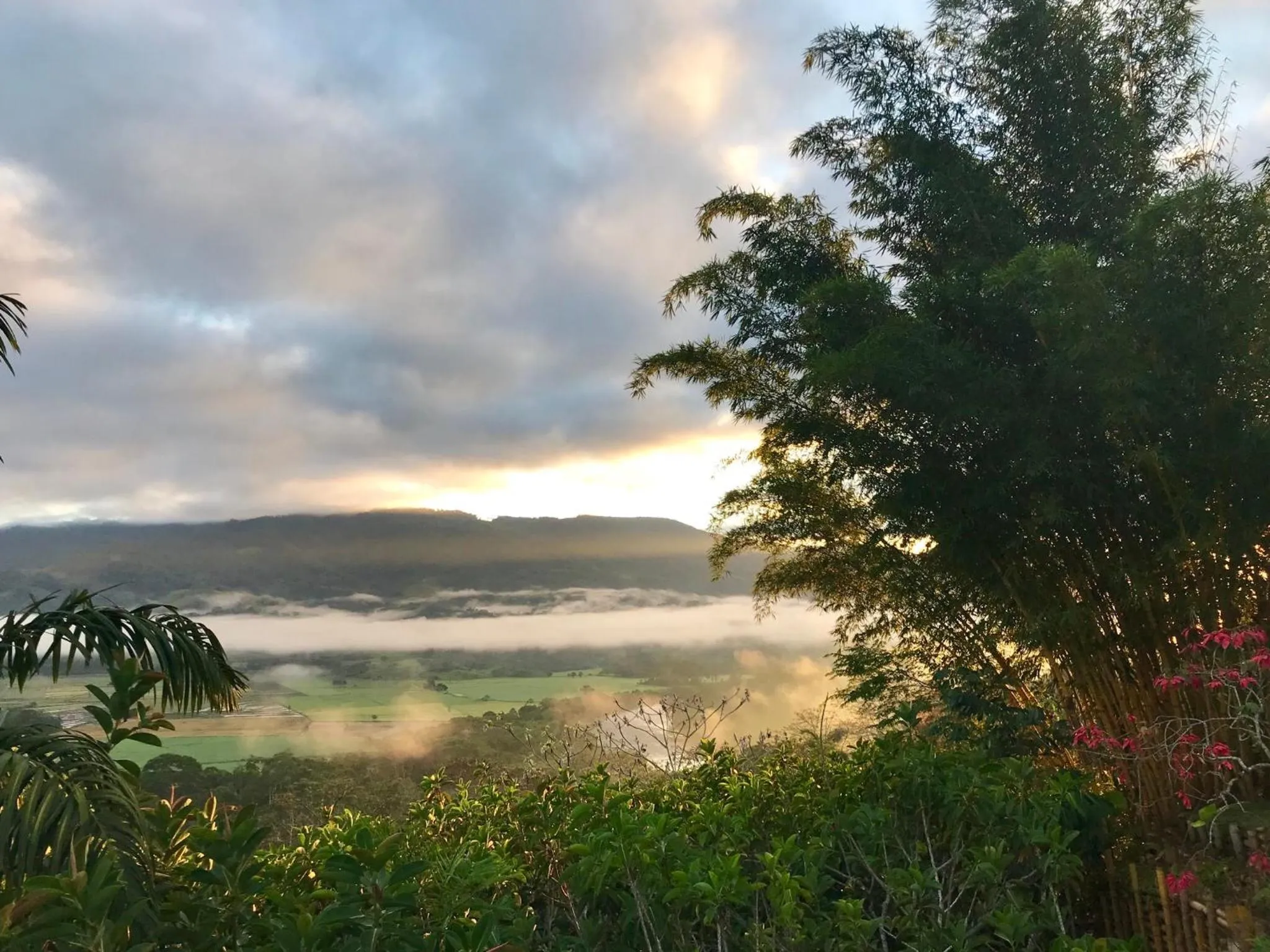 Garden in Altavista Casahotel - Asociado Casa Andina