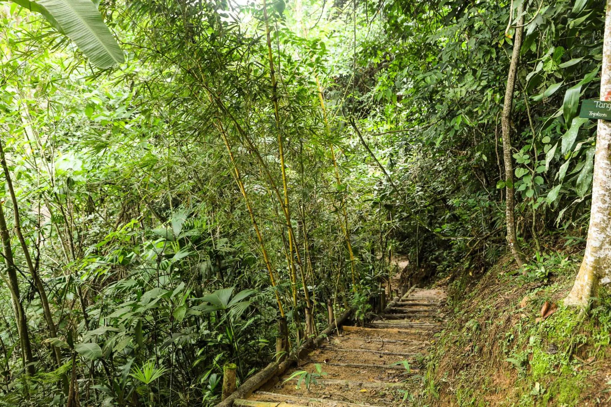 Hiking in Altavista Casahotel - Asociado Casa Andina