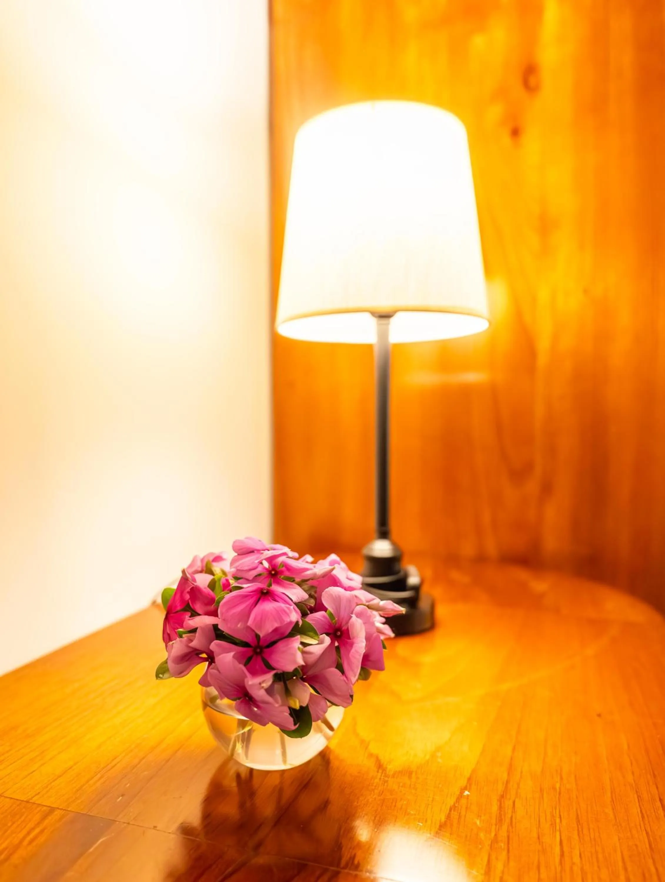 furniture in Altavista Casahotel - Asociado Casa Andina