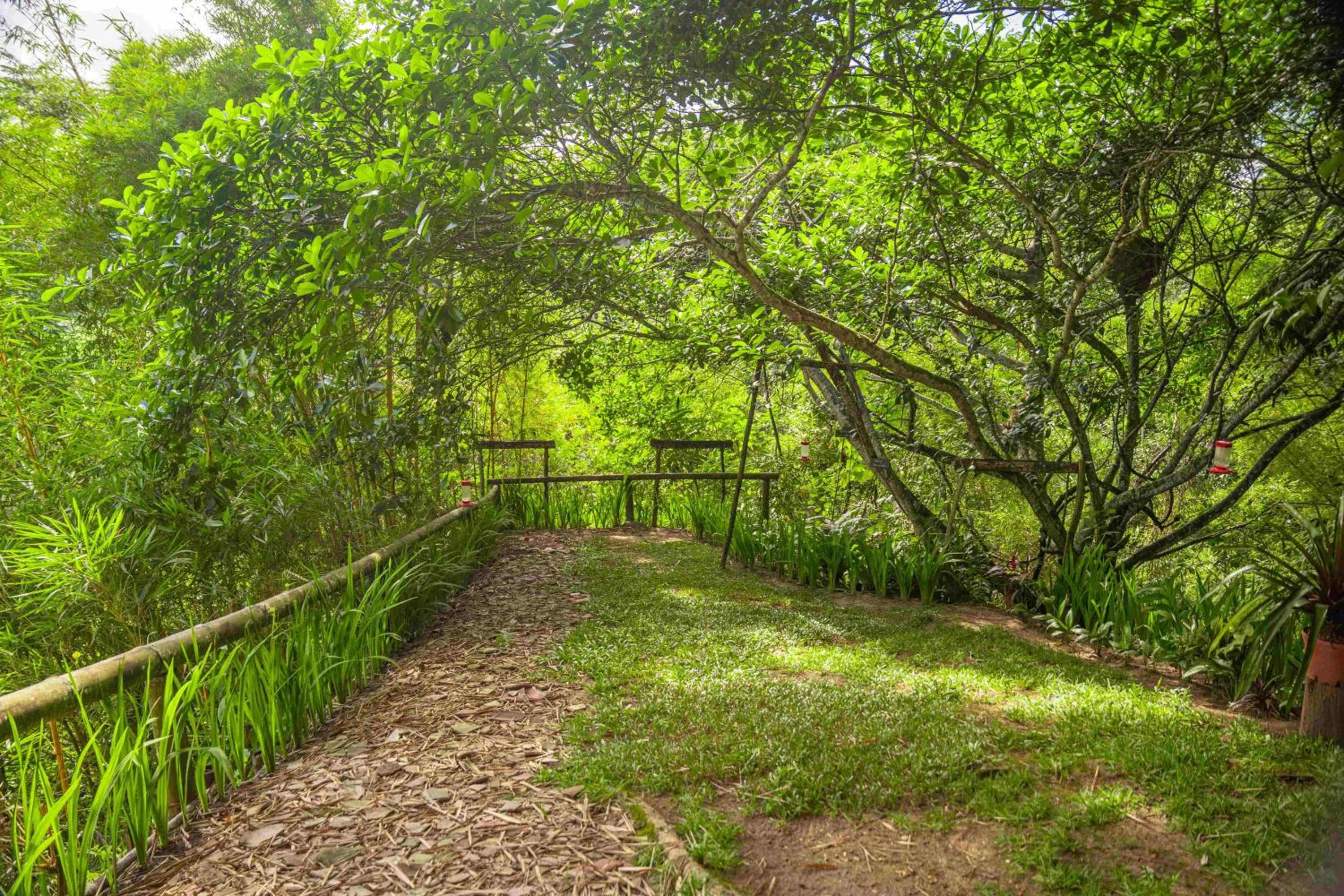 Day in Altavista Casahotel - Asociado Casa Andina