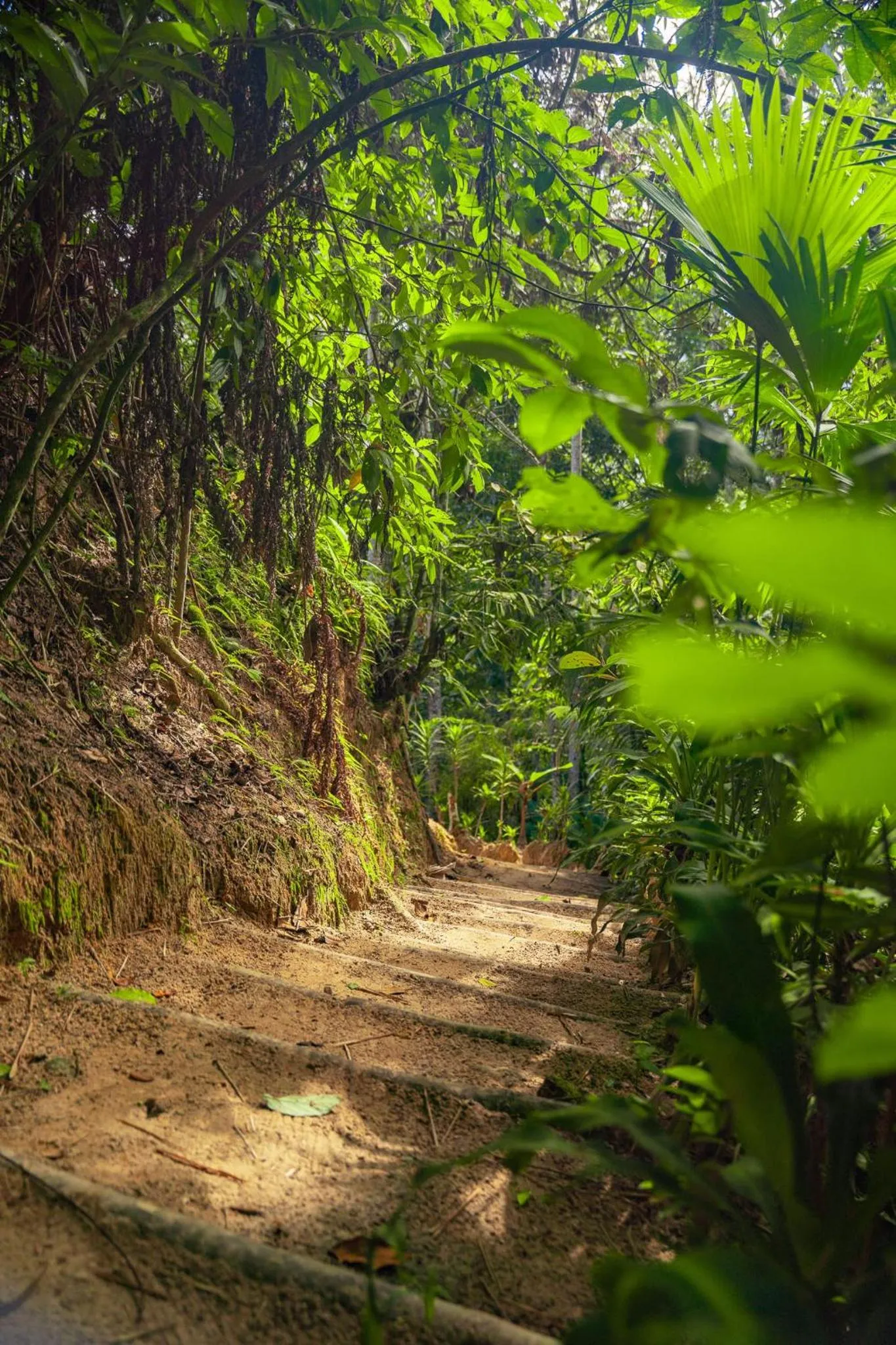 Hiking in Altavista Casahotel - Asociado Casa Andina