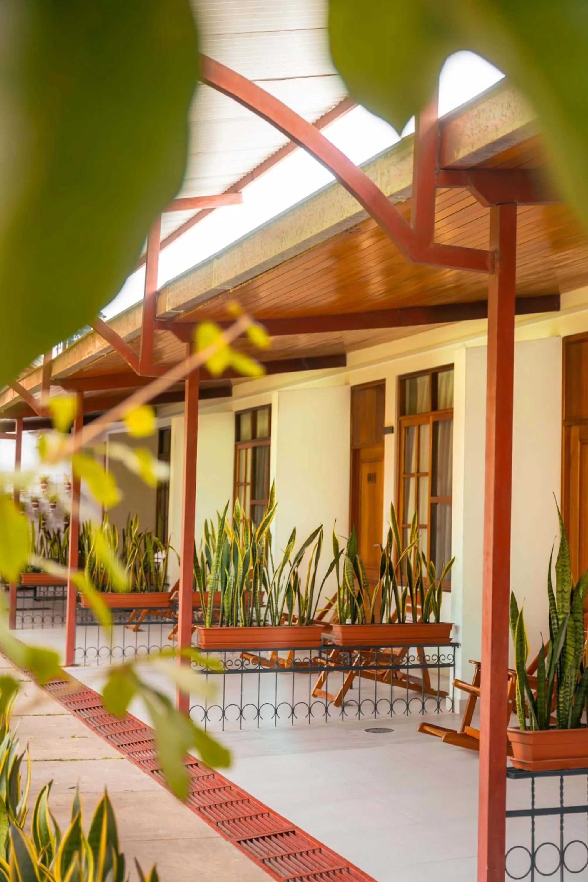 Garden in Altavista Casahotel - Asociado Casa Andina