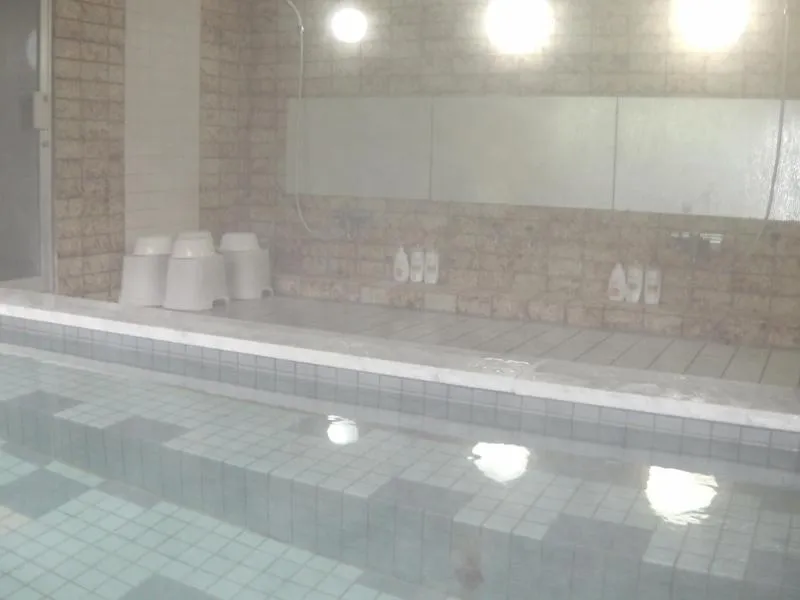 Public Bath in Pals Inn Raicho
