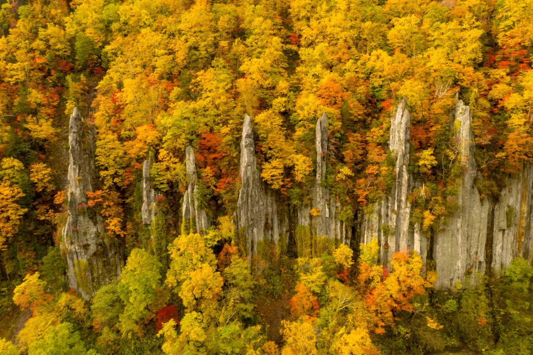 Nearby landmark in Shikishimaso