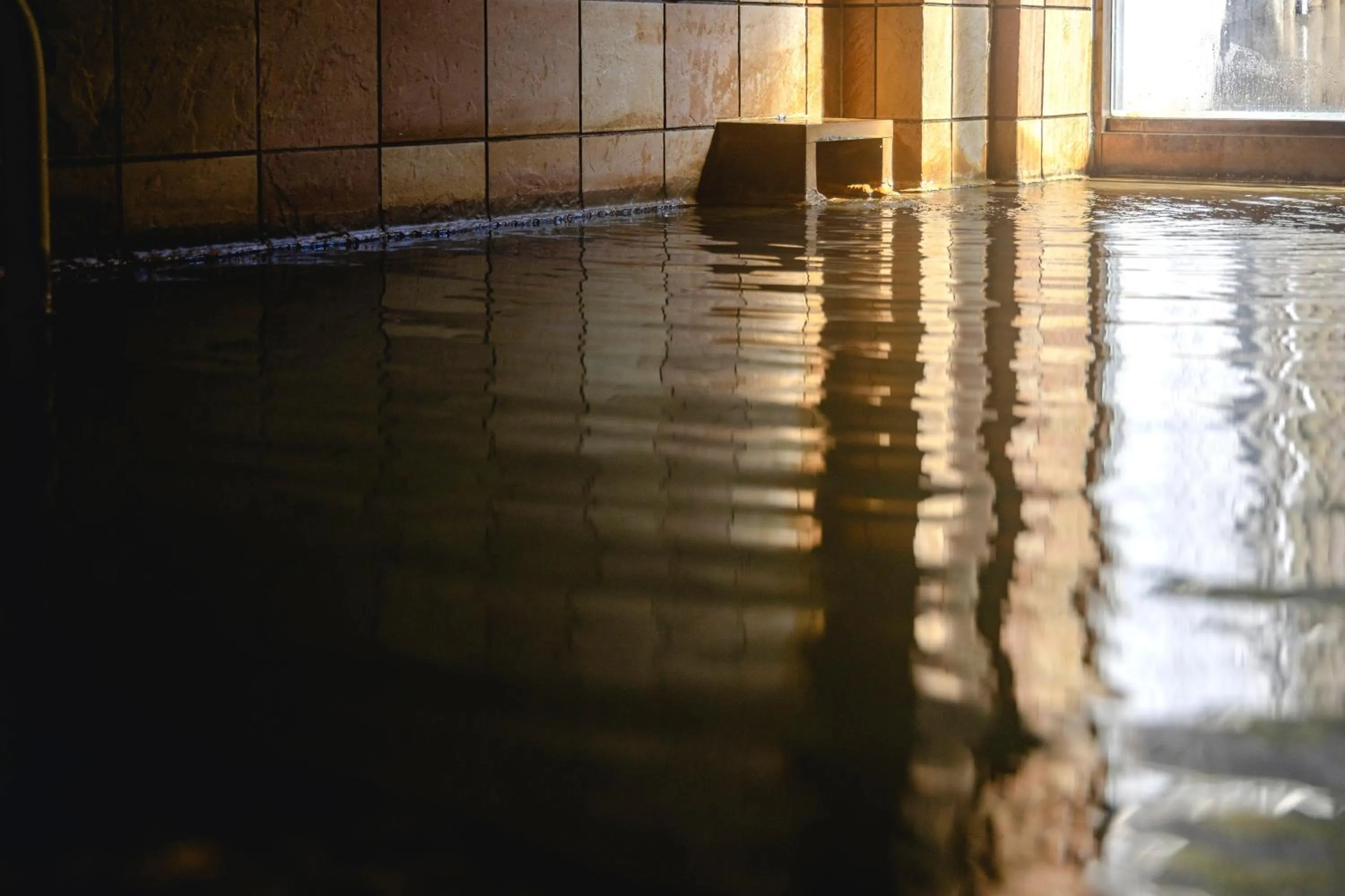 Public Bath in Shikishimaso