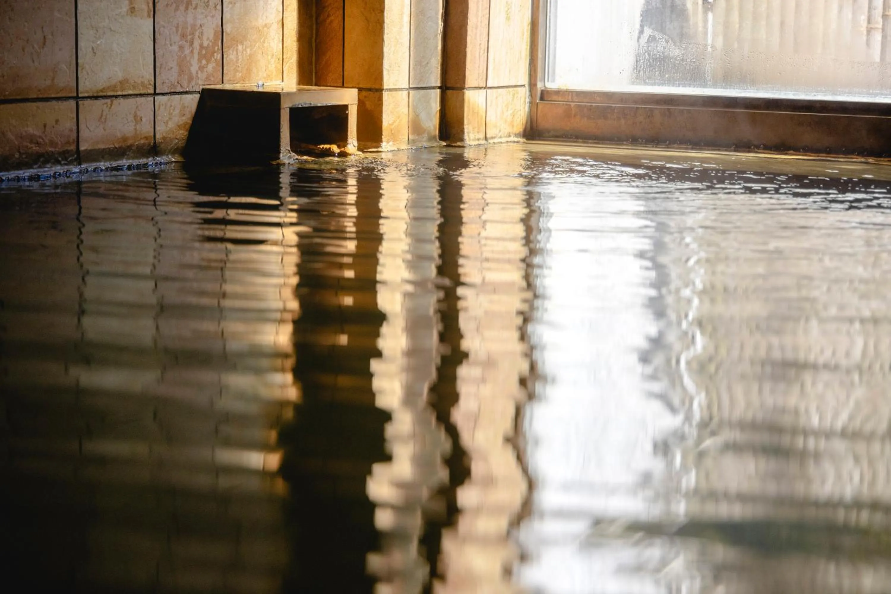 Public Bath in Shikishimaso