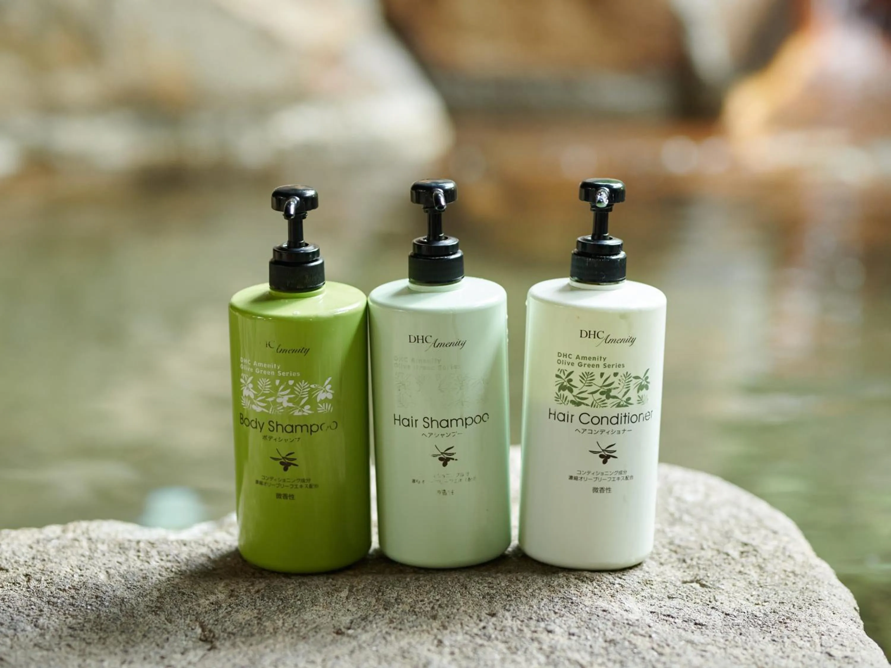 Public Bath in 緑風苑 きよはる Ryokufuen Kiyoharu