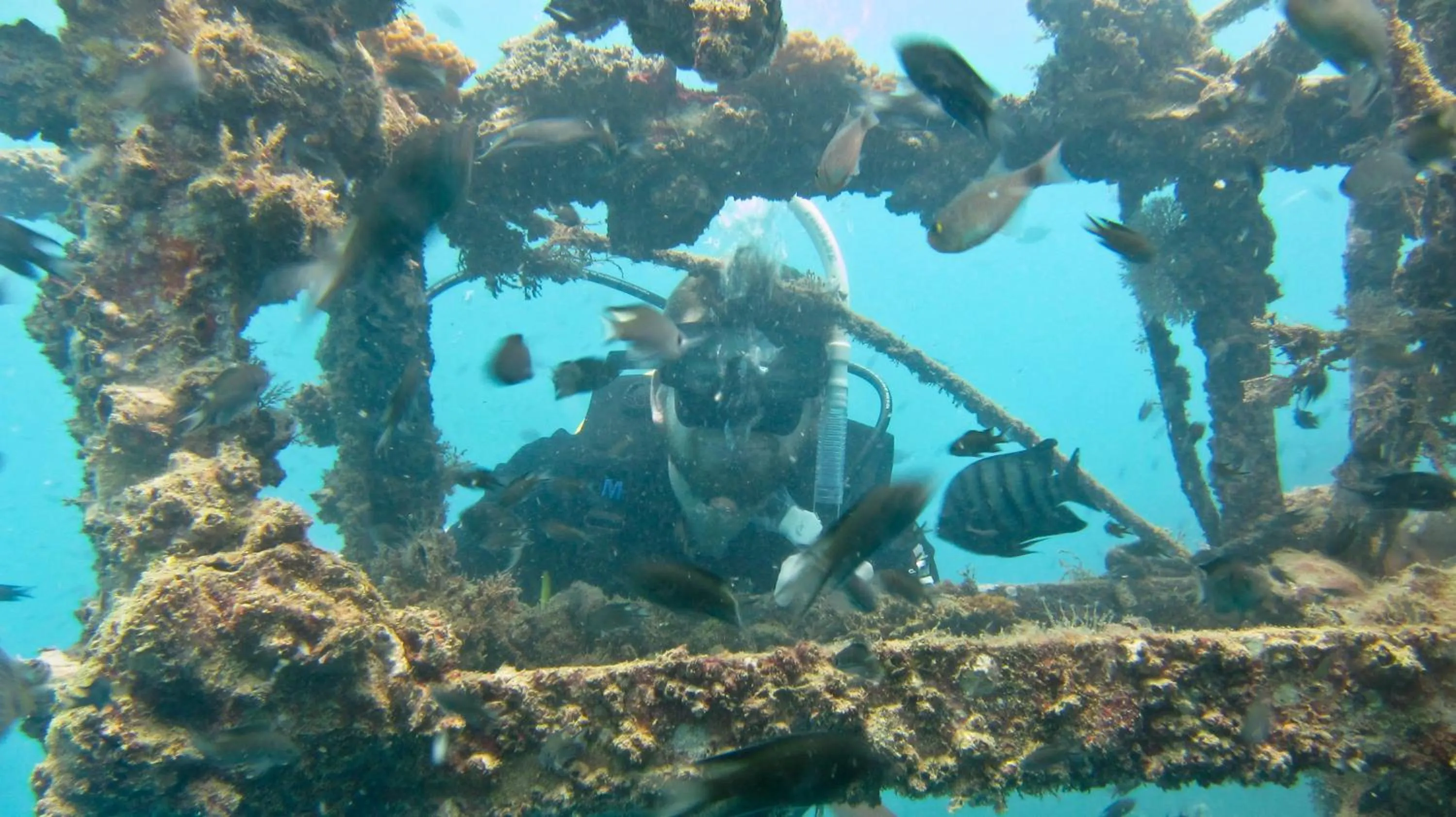 Diving in The Barat Perhentian