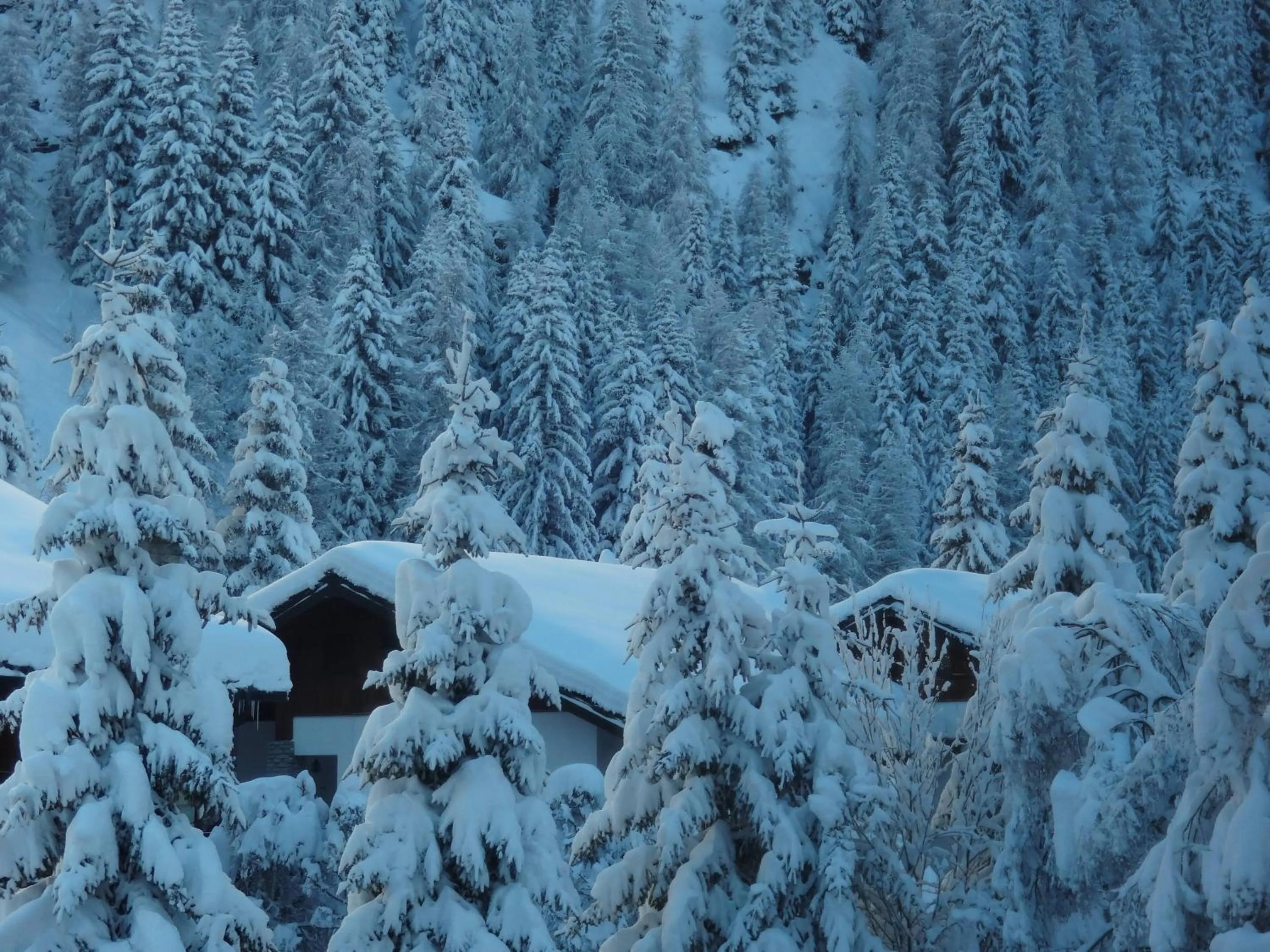 Winter in Hotel L' Aiglon