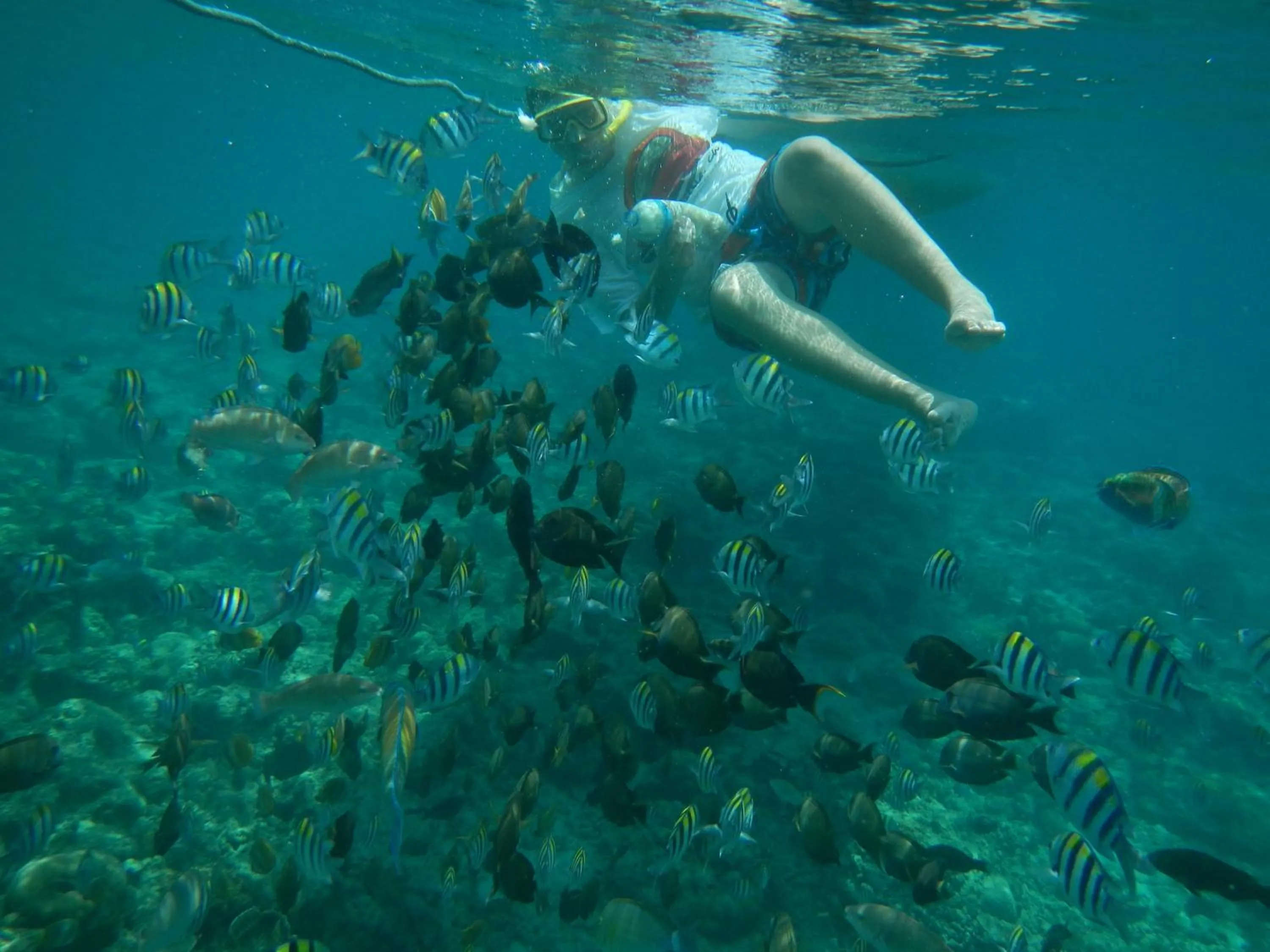 Snorkeling in II Bungalow