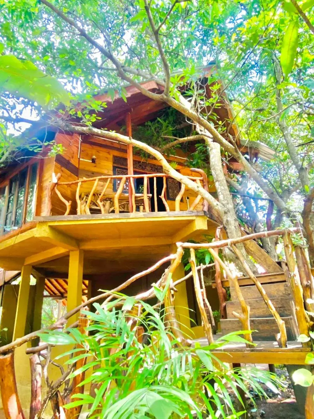 Tree House in Dudley Nature Resort Tree House in Dudley Nature Resort