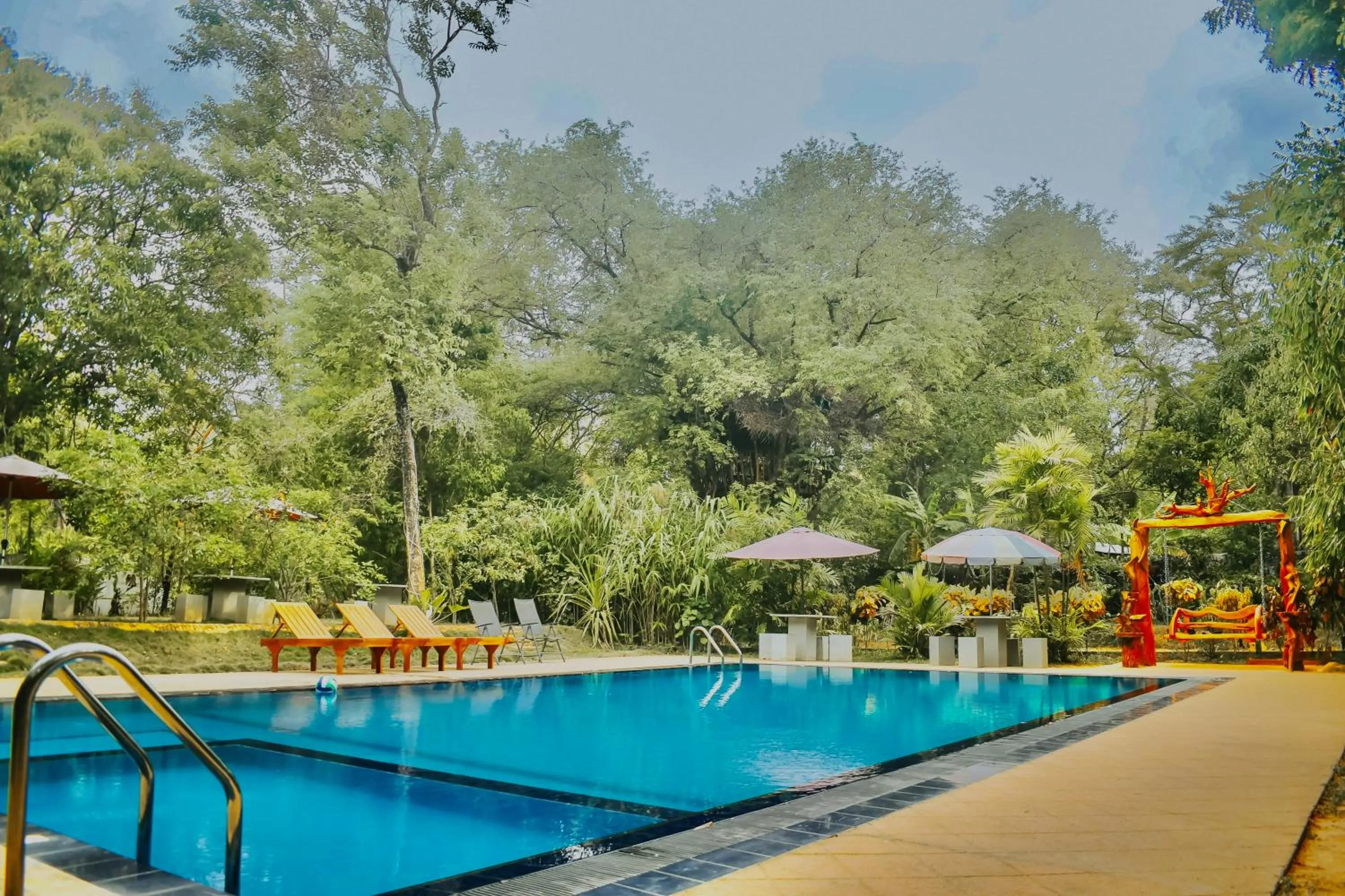 Swimming pool in Dudley Nature Resort