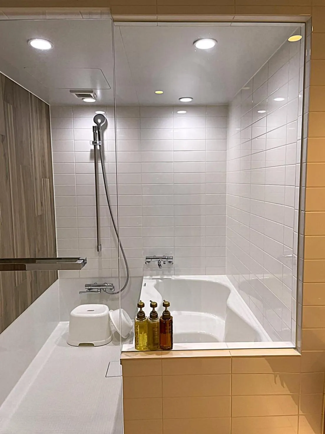 Bathroom in Hotel Global View Hakodate