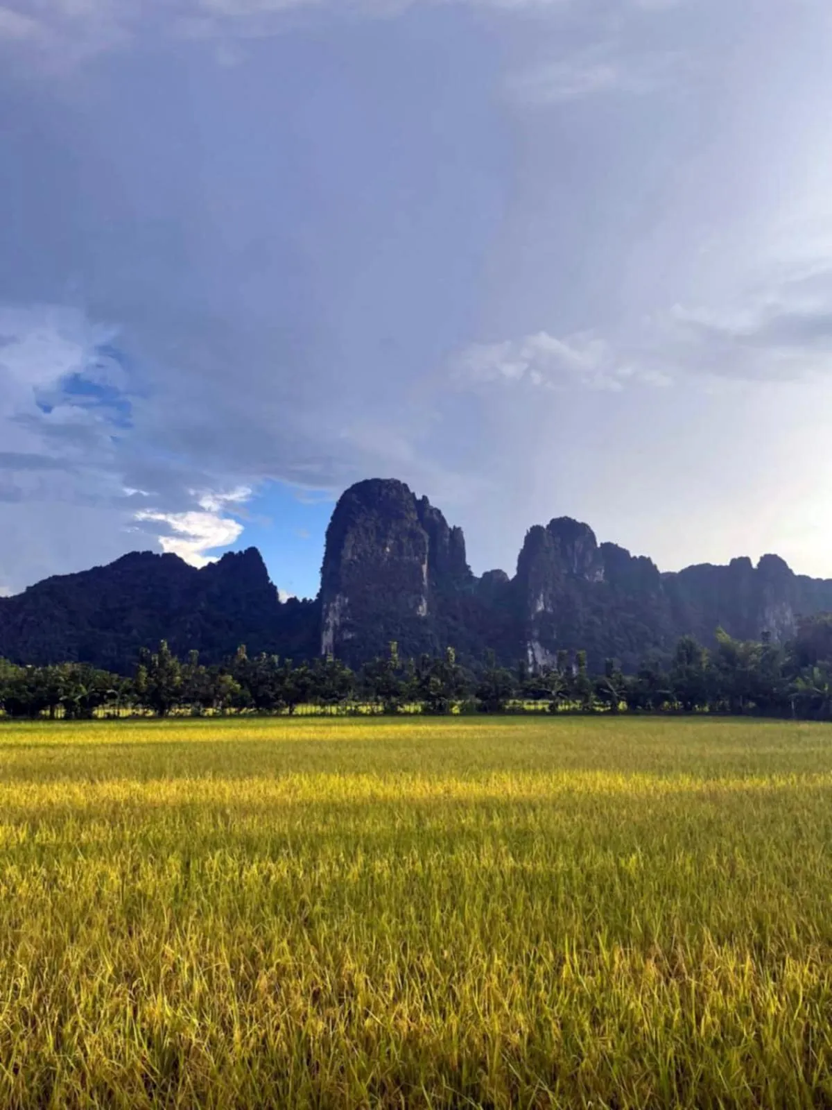 Natural landscape in Sabai Glamping Vang Vieng