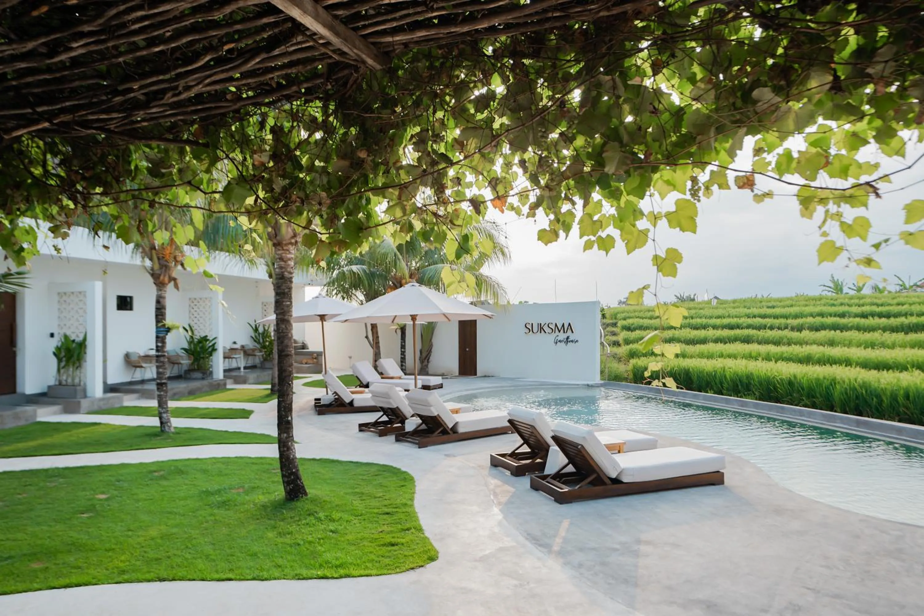 Natural landscape in Suksma Guesthouse