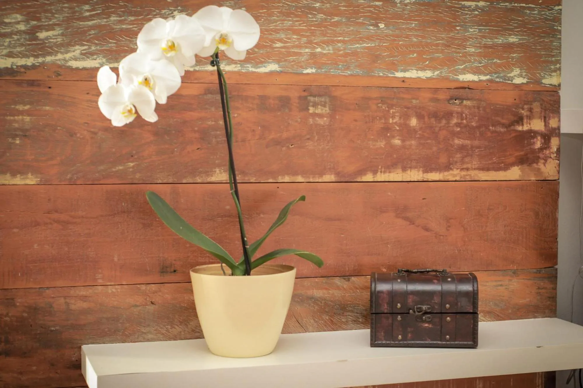 Pousada Parador da Figueira