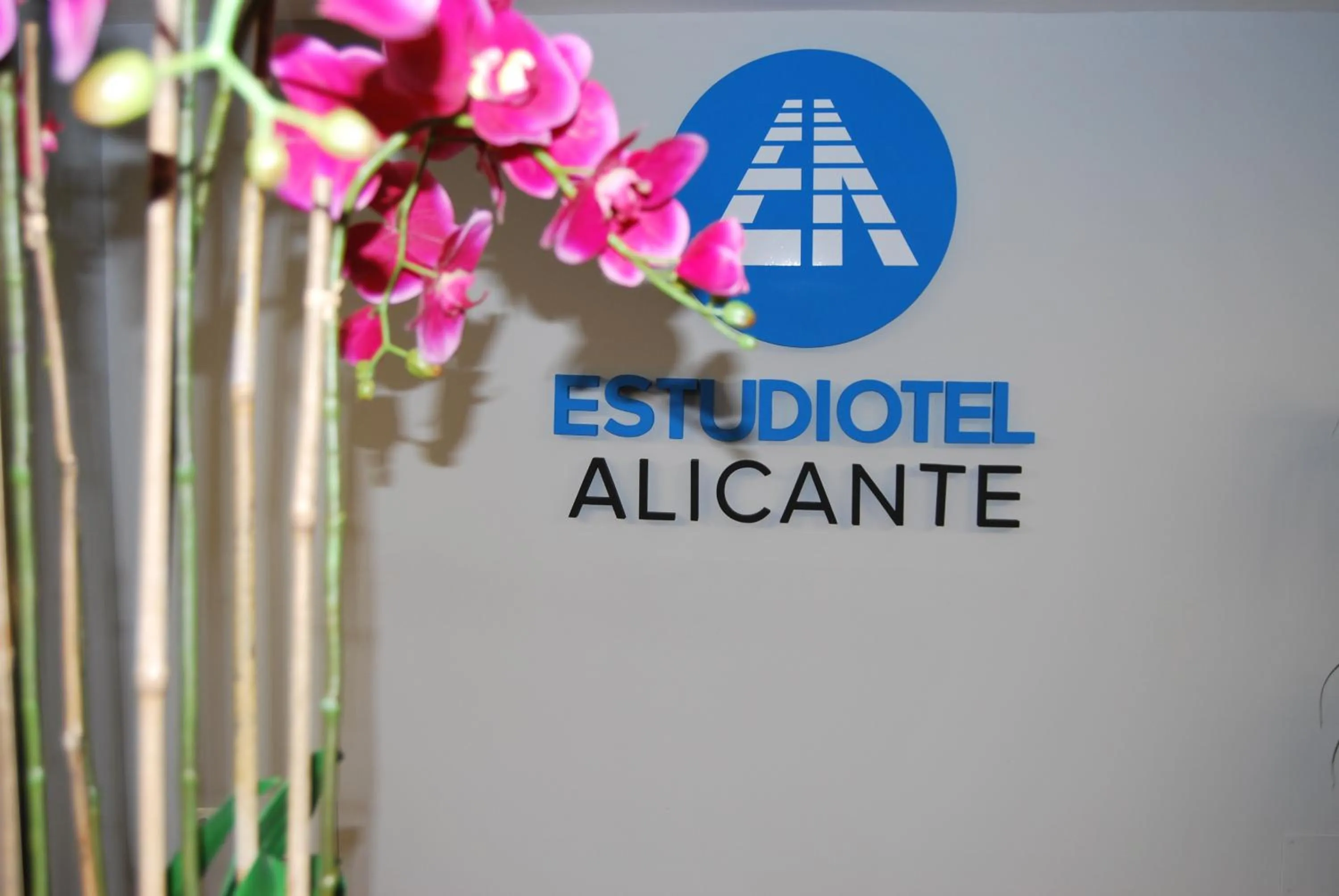 Property logo or sign in Estudiotel Alicante