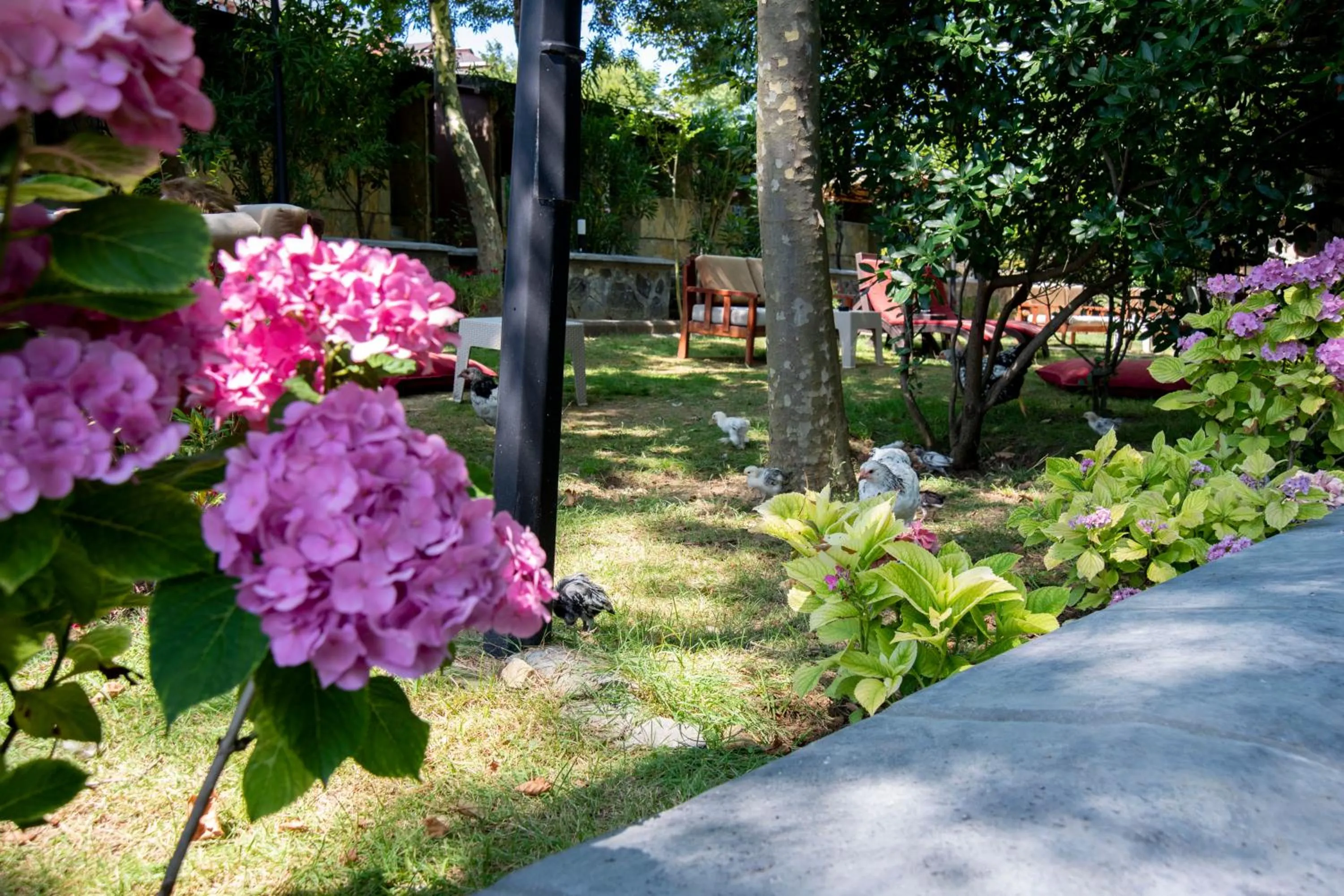 Garden in Fener Motel