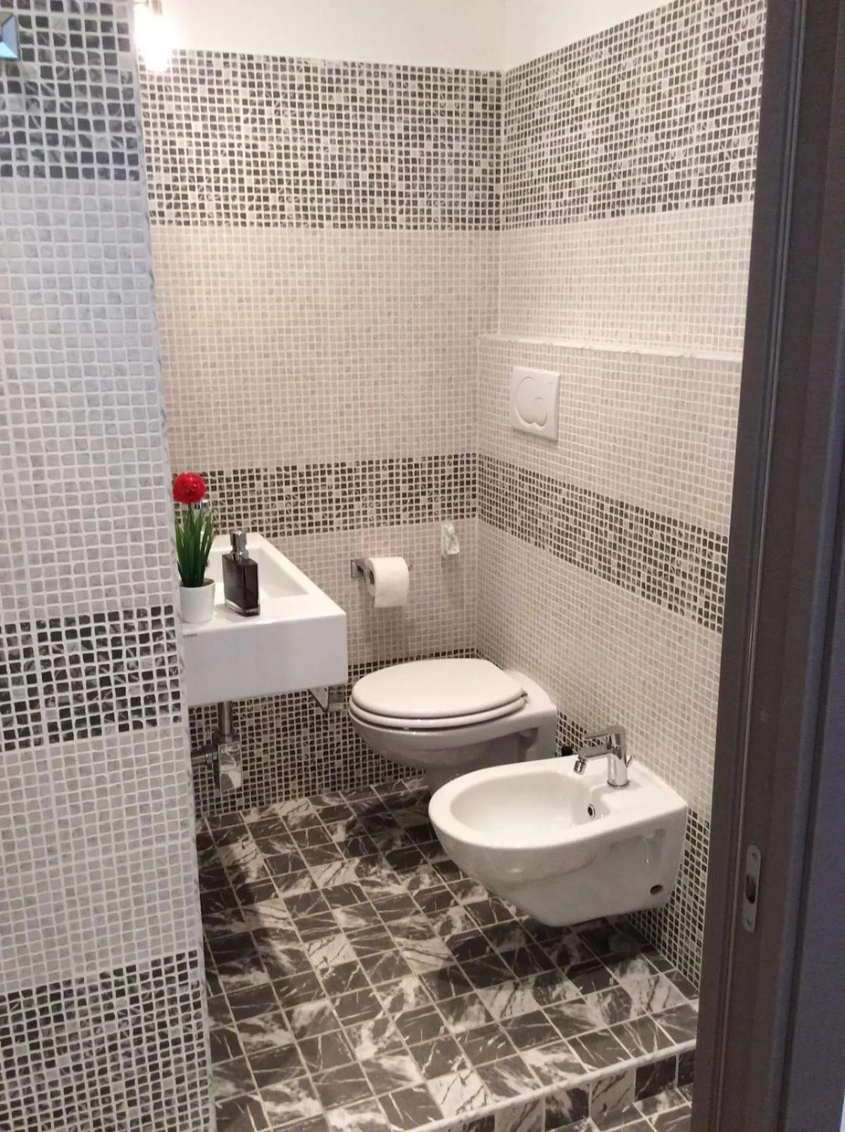 The house of St. Peter