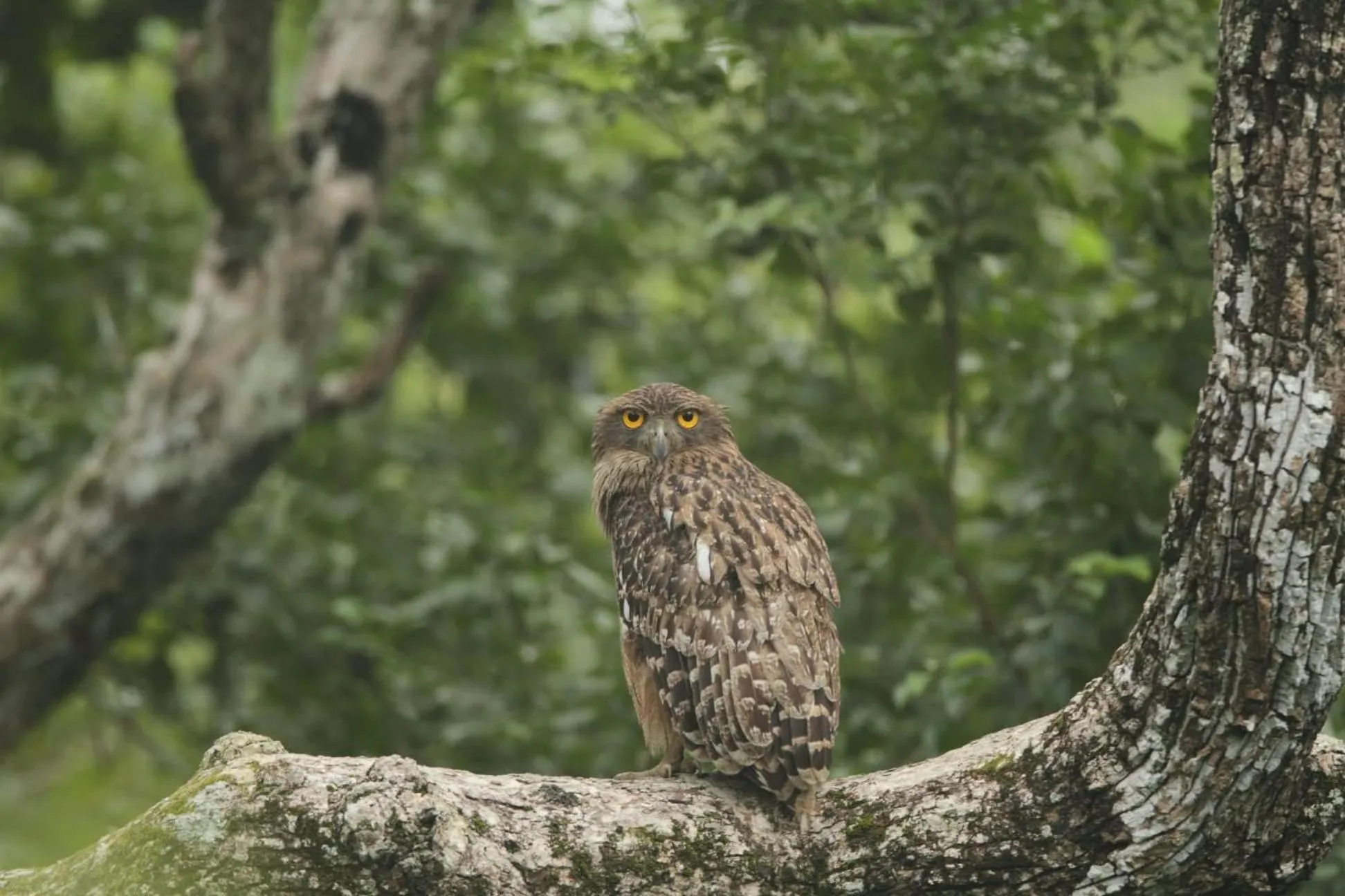 Day in Lake Wind Resort