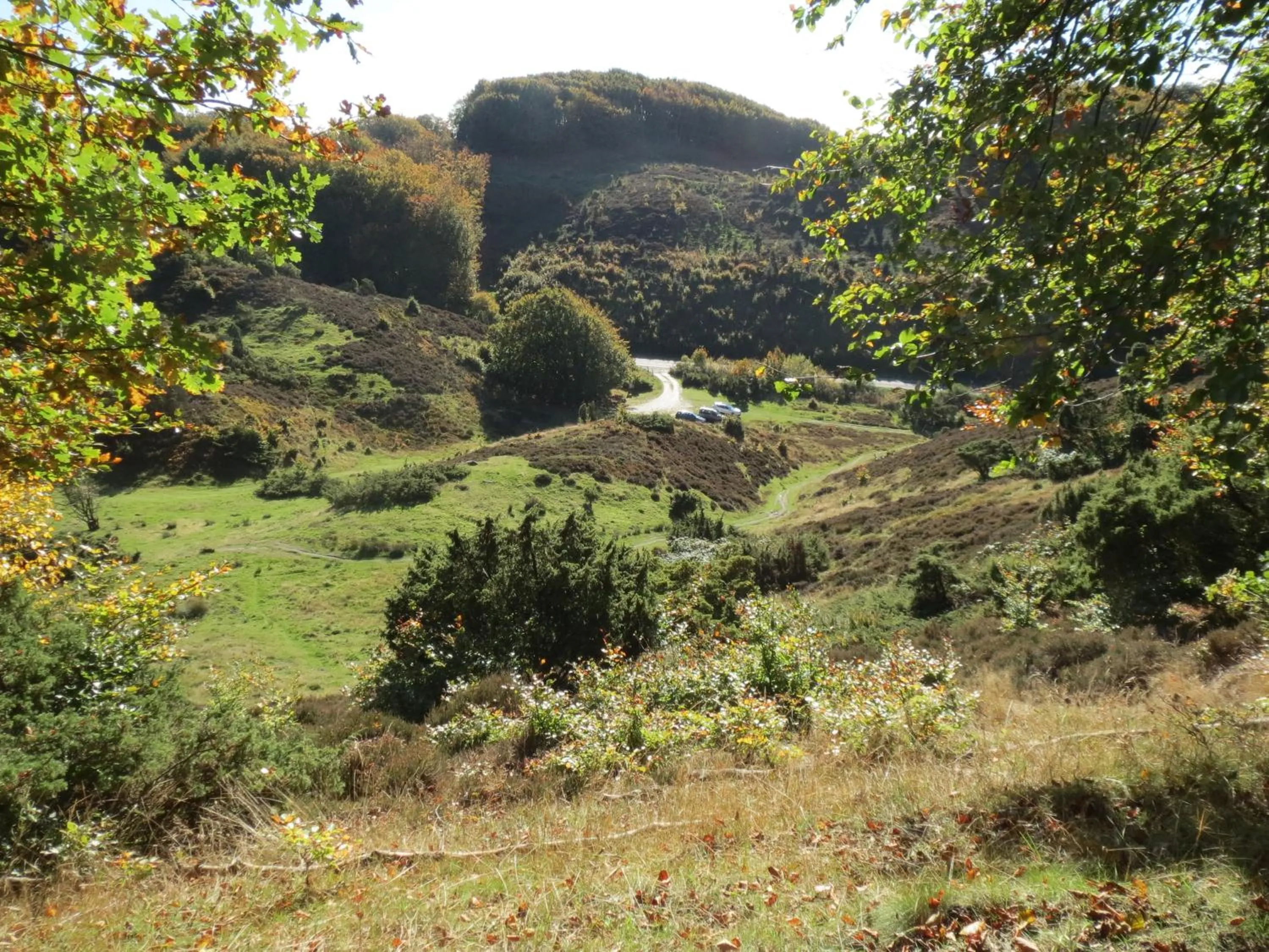 Area and facilities in Danhostel Rebild
