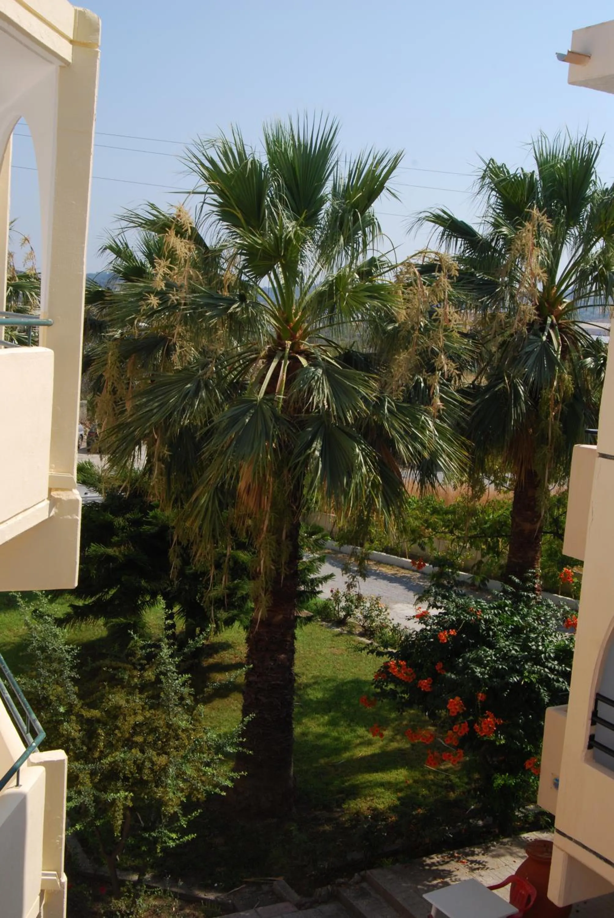 Day in Artemis Studios