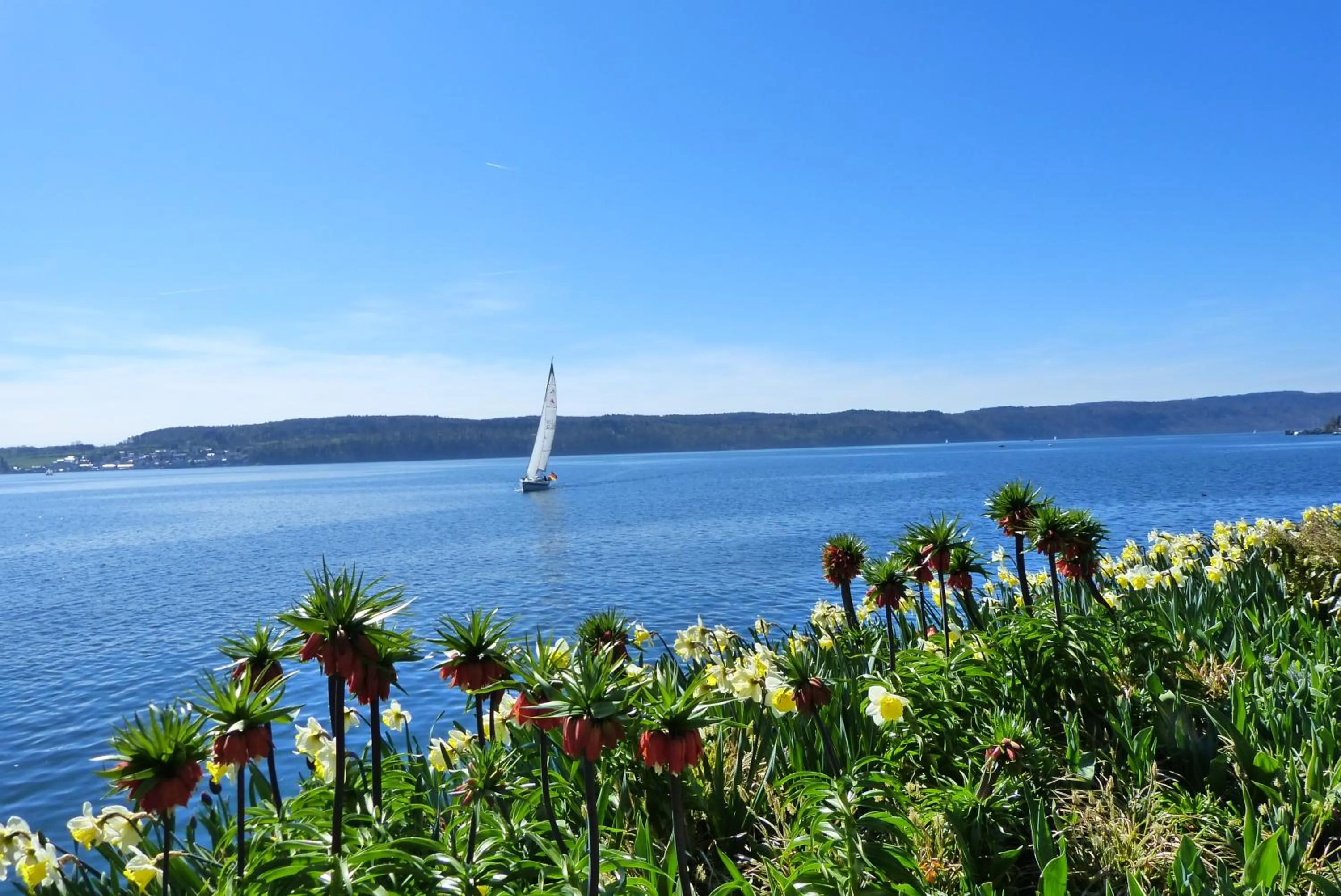 Natural landscape in Hotel Garni Villa Rosengarten