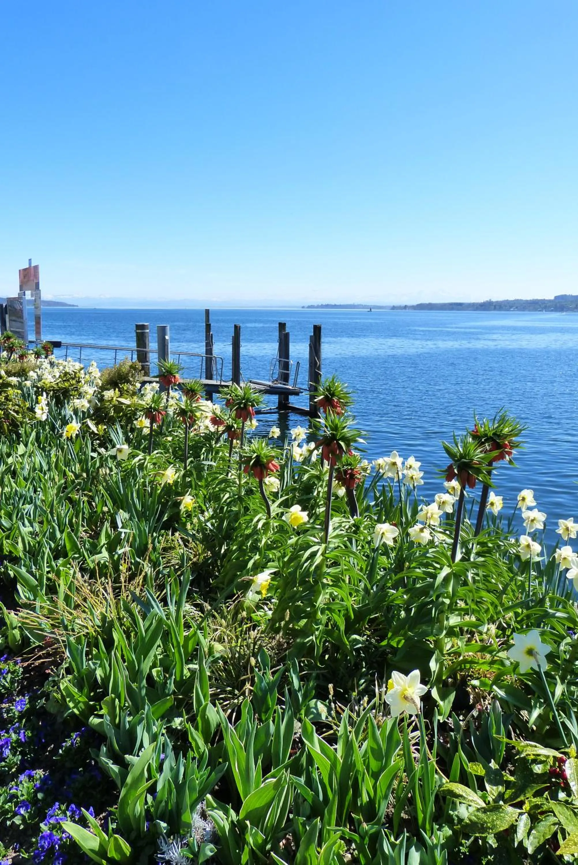 Natural landscape in Hotel Garni Villa Rosengarten