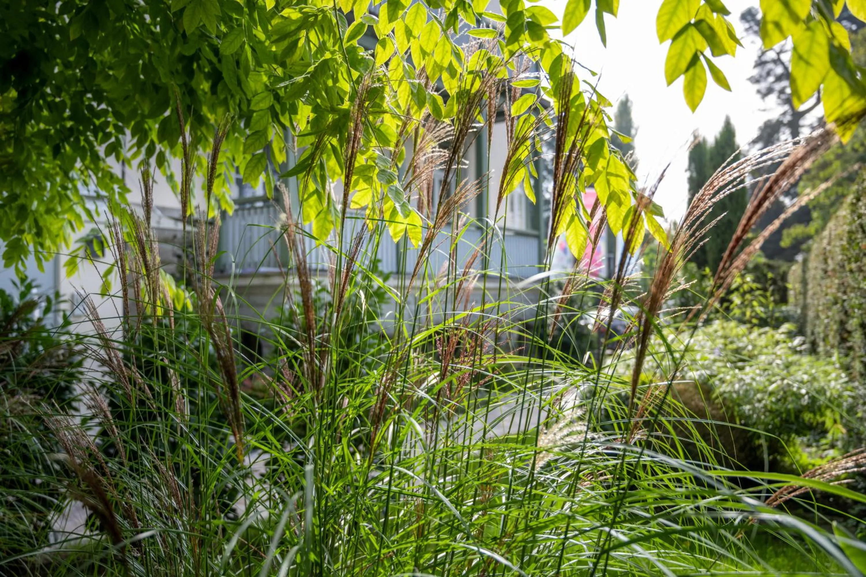 Hotel Garni Villa Rosengarten