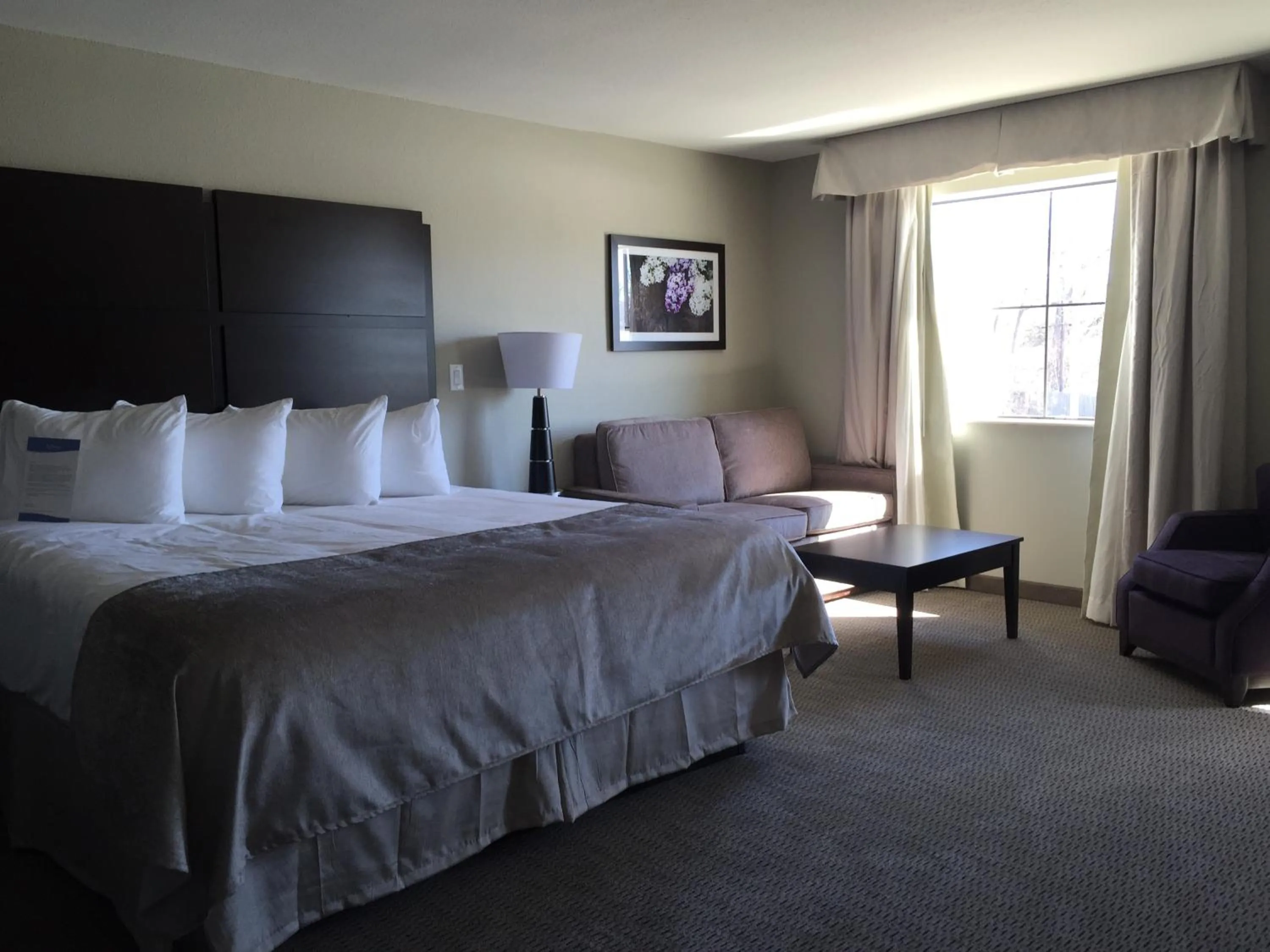 Bed in Baymont by Wyndham College Station