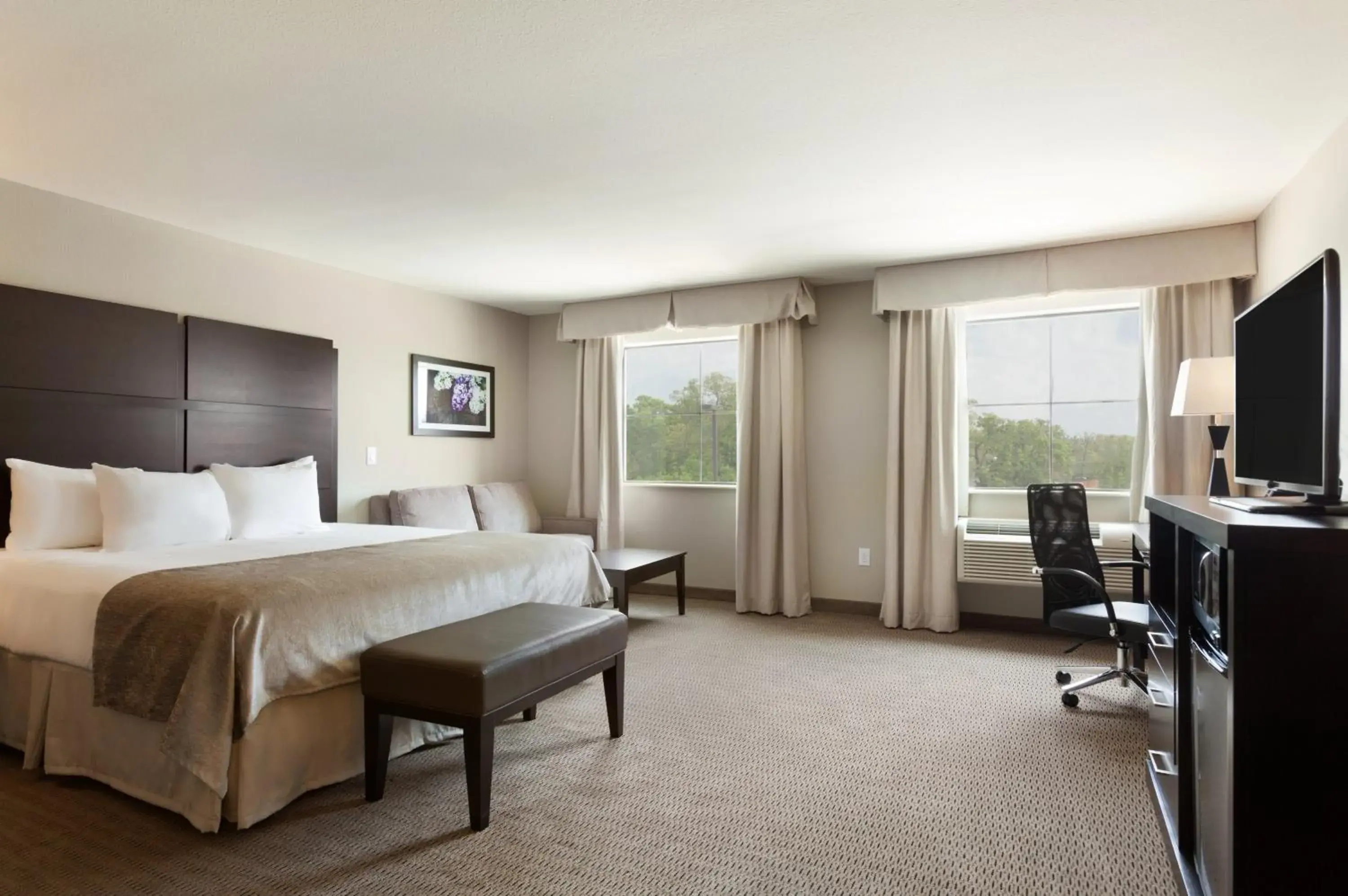 Deluxe King Room - Non-Smoking in Baymont by Wyndham College Station Deluxe King Room - Non-Smoking in Baymont by Wyndham College Station