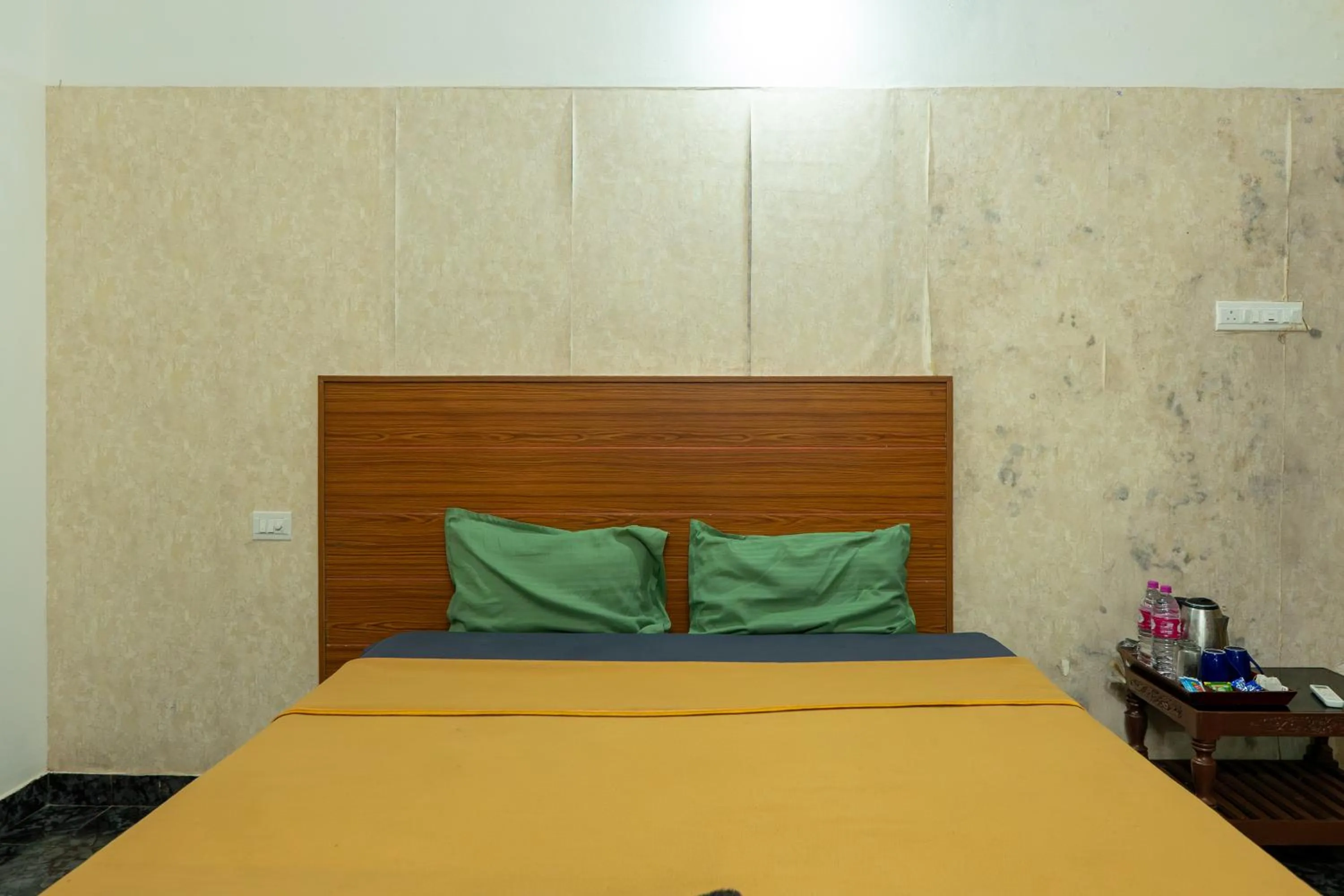 Standard Double Room in Palm TreeHeritage Beach Resort