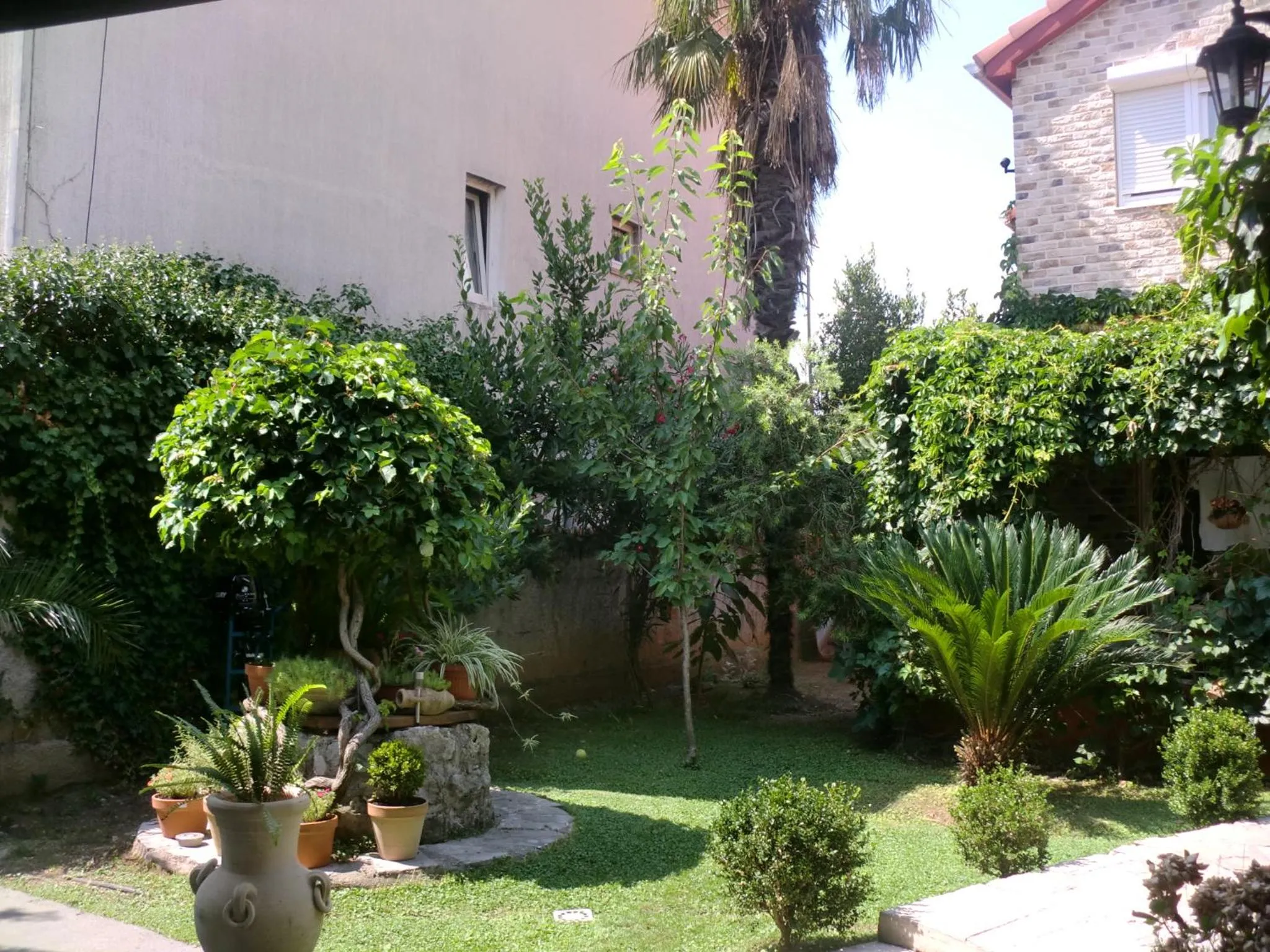 Garden in Apartments Bajkovic