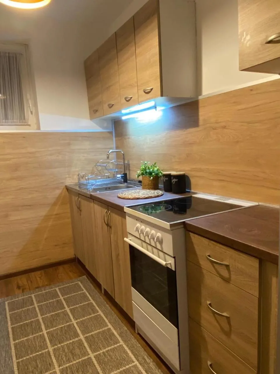 pet friendly in Apartments Bajkovic