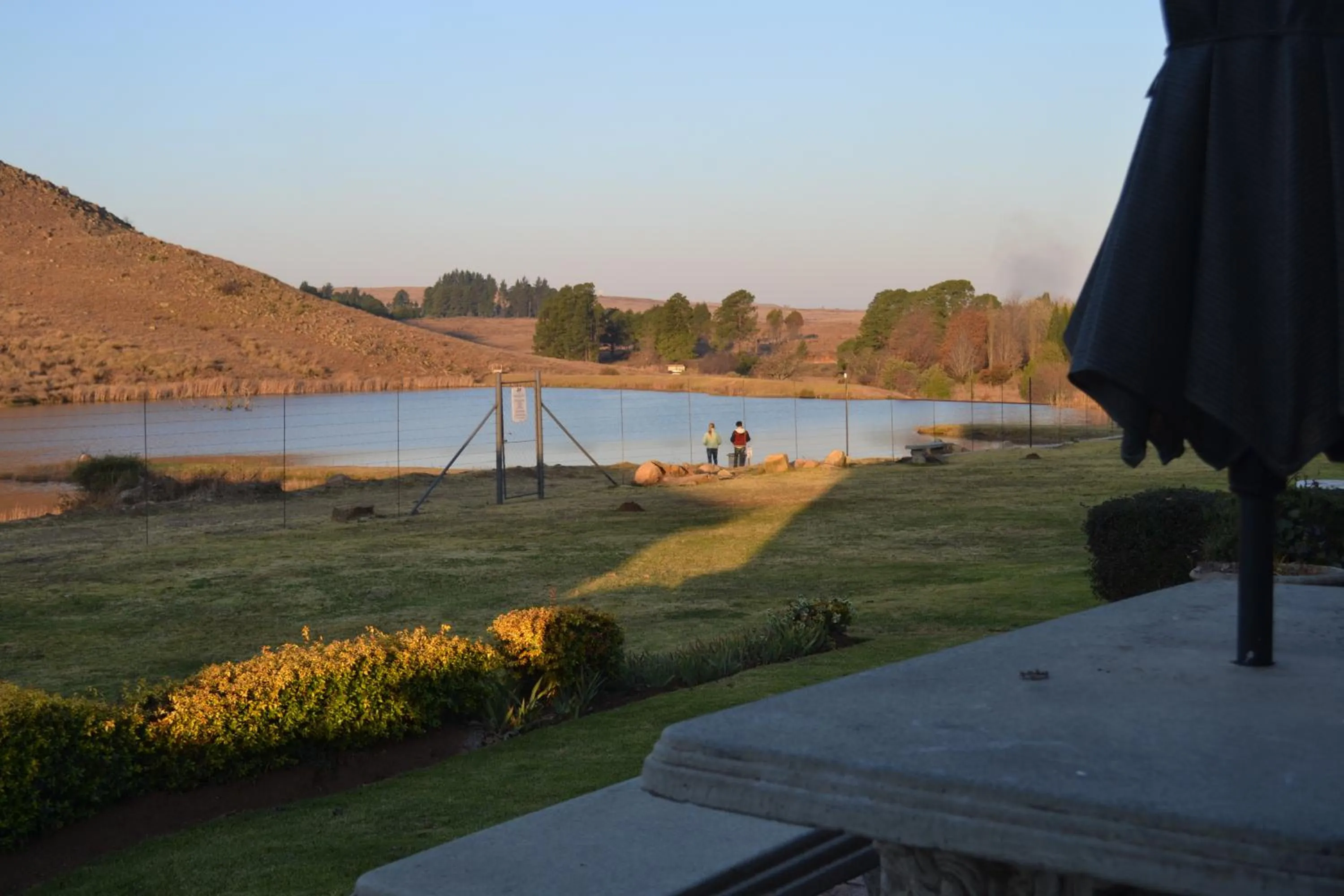 Garden in Fox & Squirrel