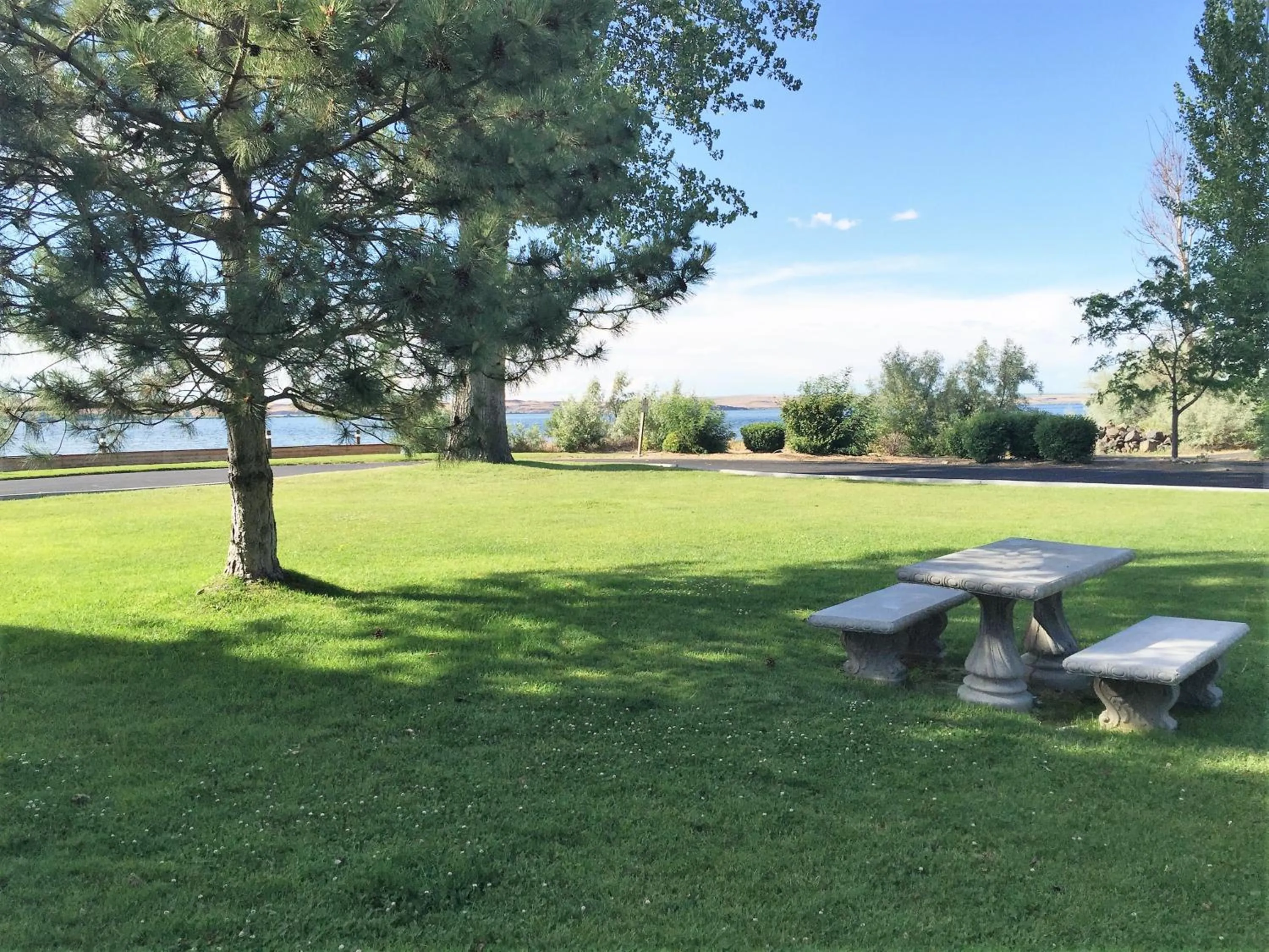 BBQ facilities in River Lodge and Cabins