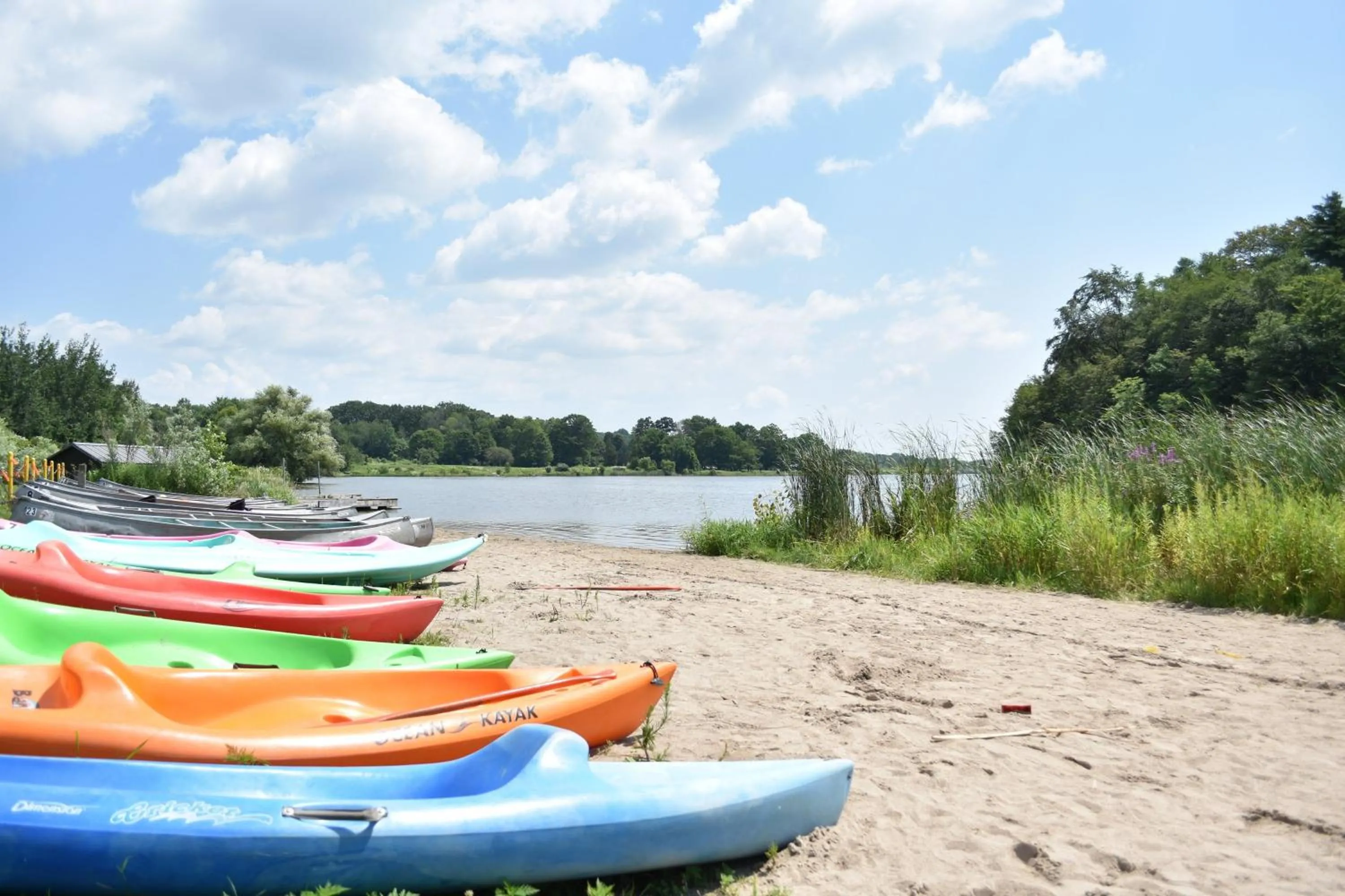 Area and facilities in Holiday Inn Express Hamilton - Upper James by IHG
