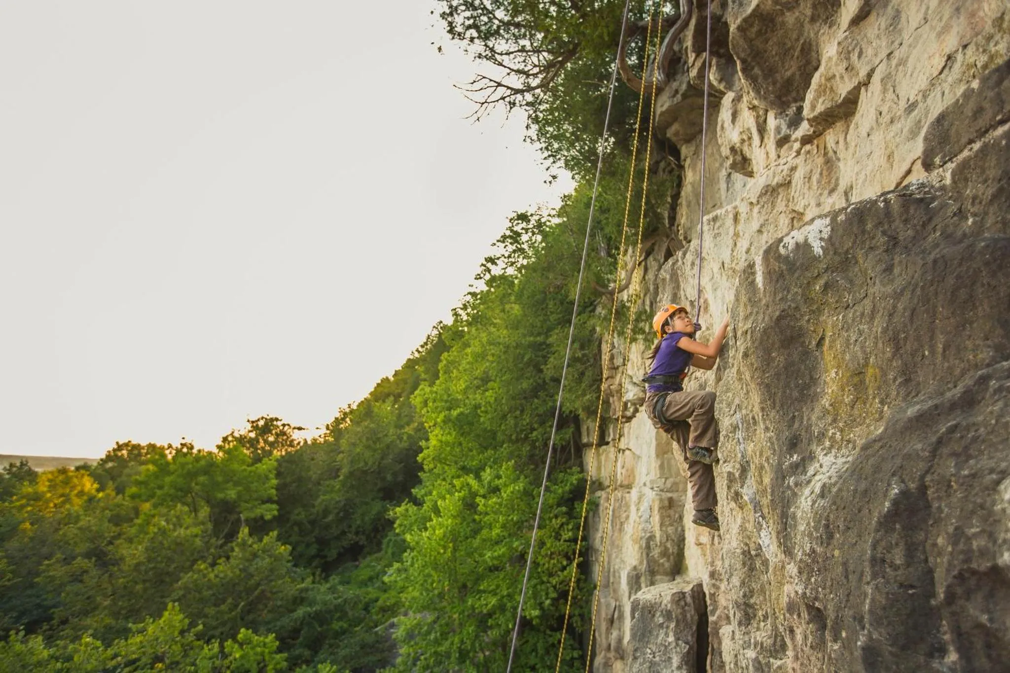 Area and facilities in Holiday Inn Express Hamilton - Upper James by IHG