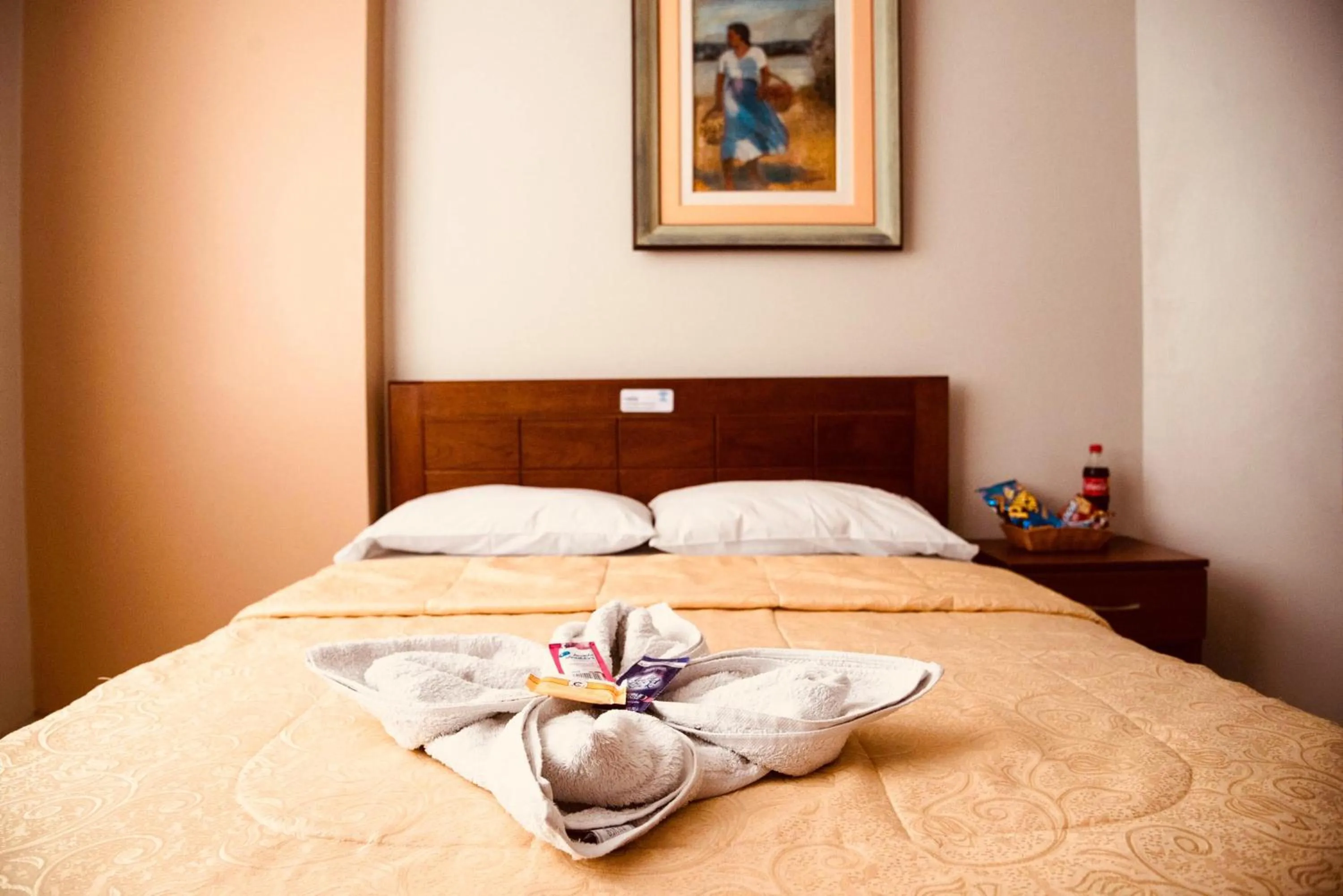 Bedroom in Hotel Jorge Chavez