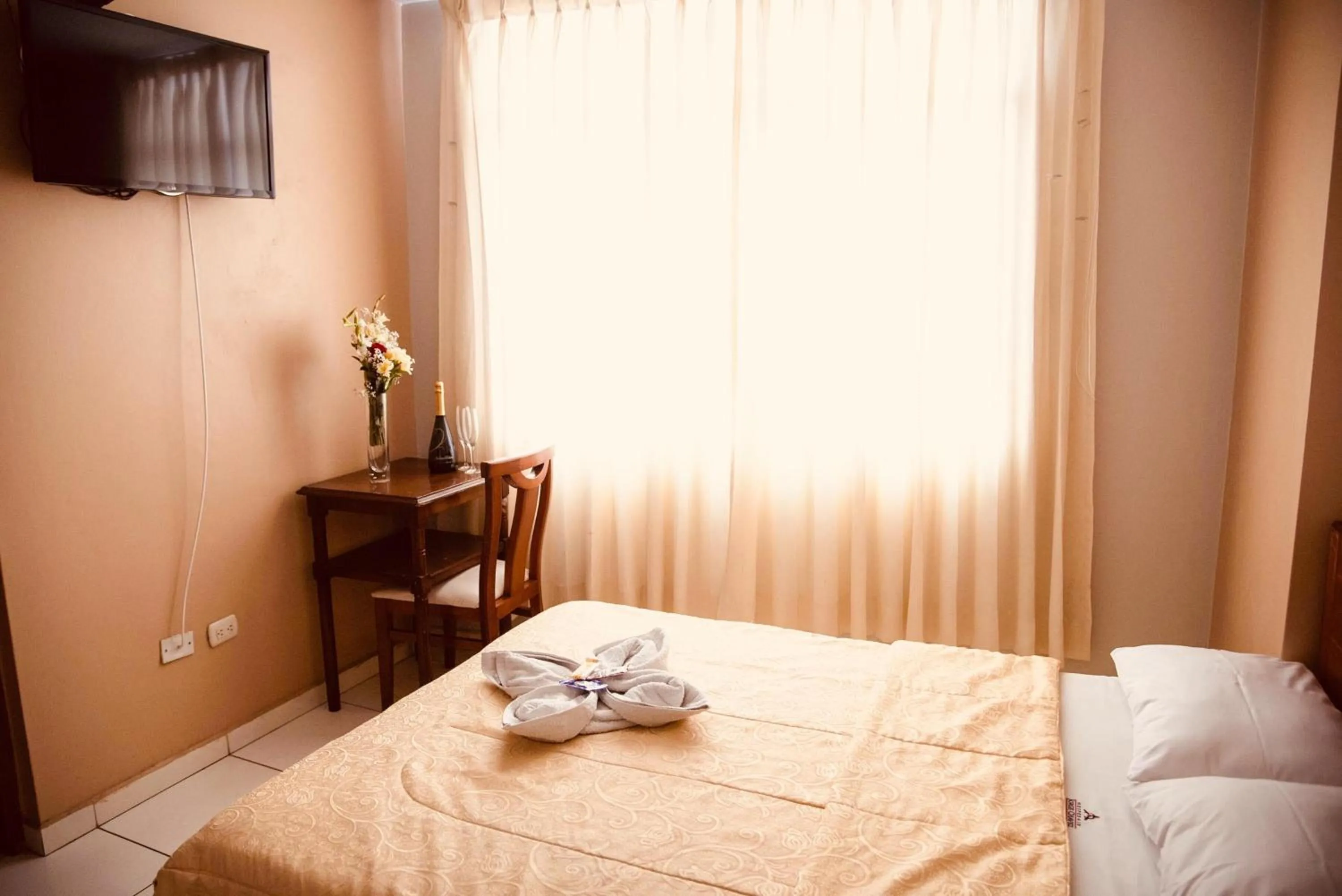 TV and multimedia in Hotel Jorge Chavez