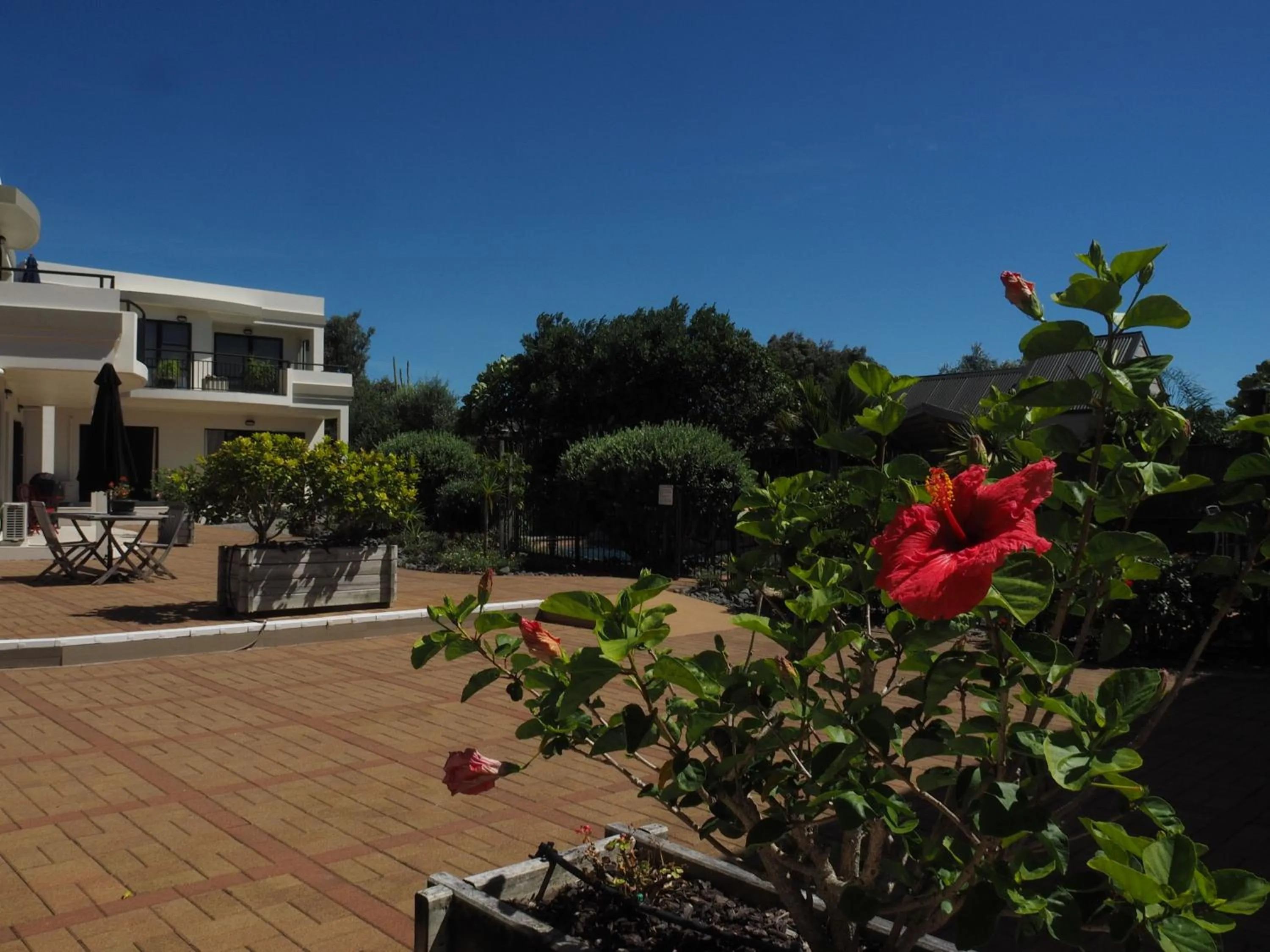 Property building in Ocean Breeze Resort Pauanui