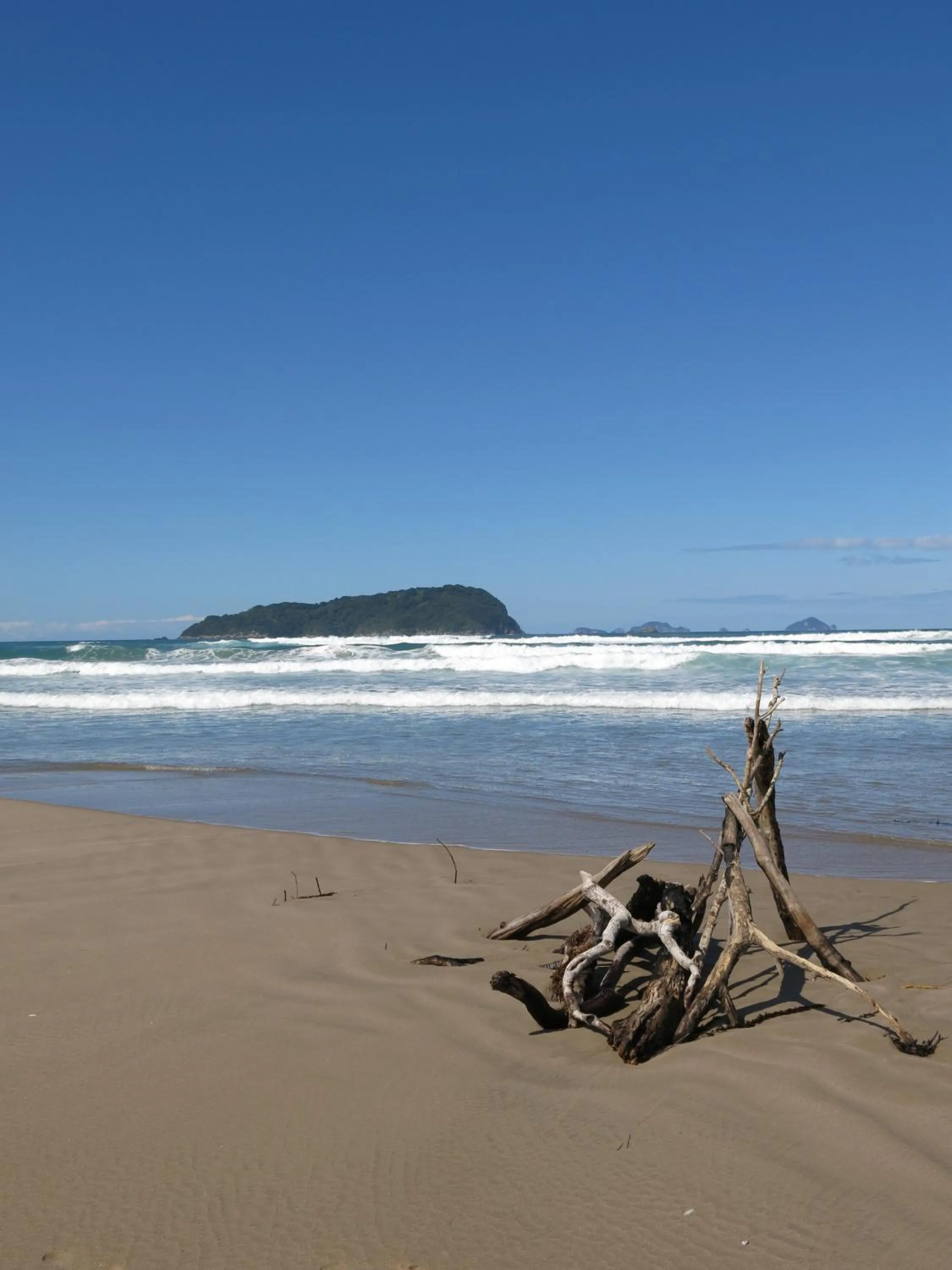 Beach in Ocean Breeze Resort Pauanui
