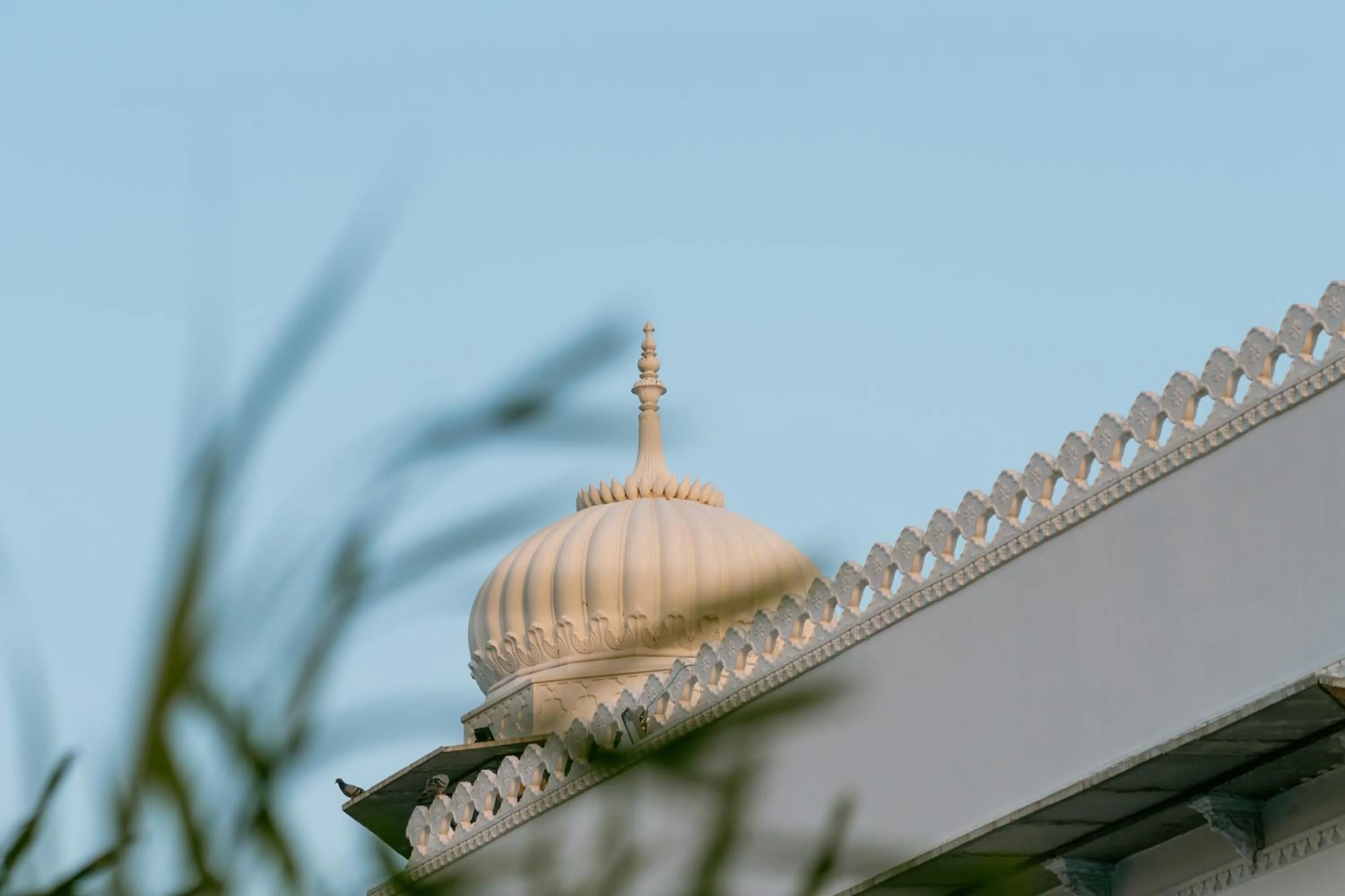 Property building in Daulatgarh Resort