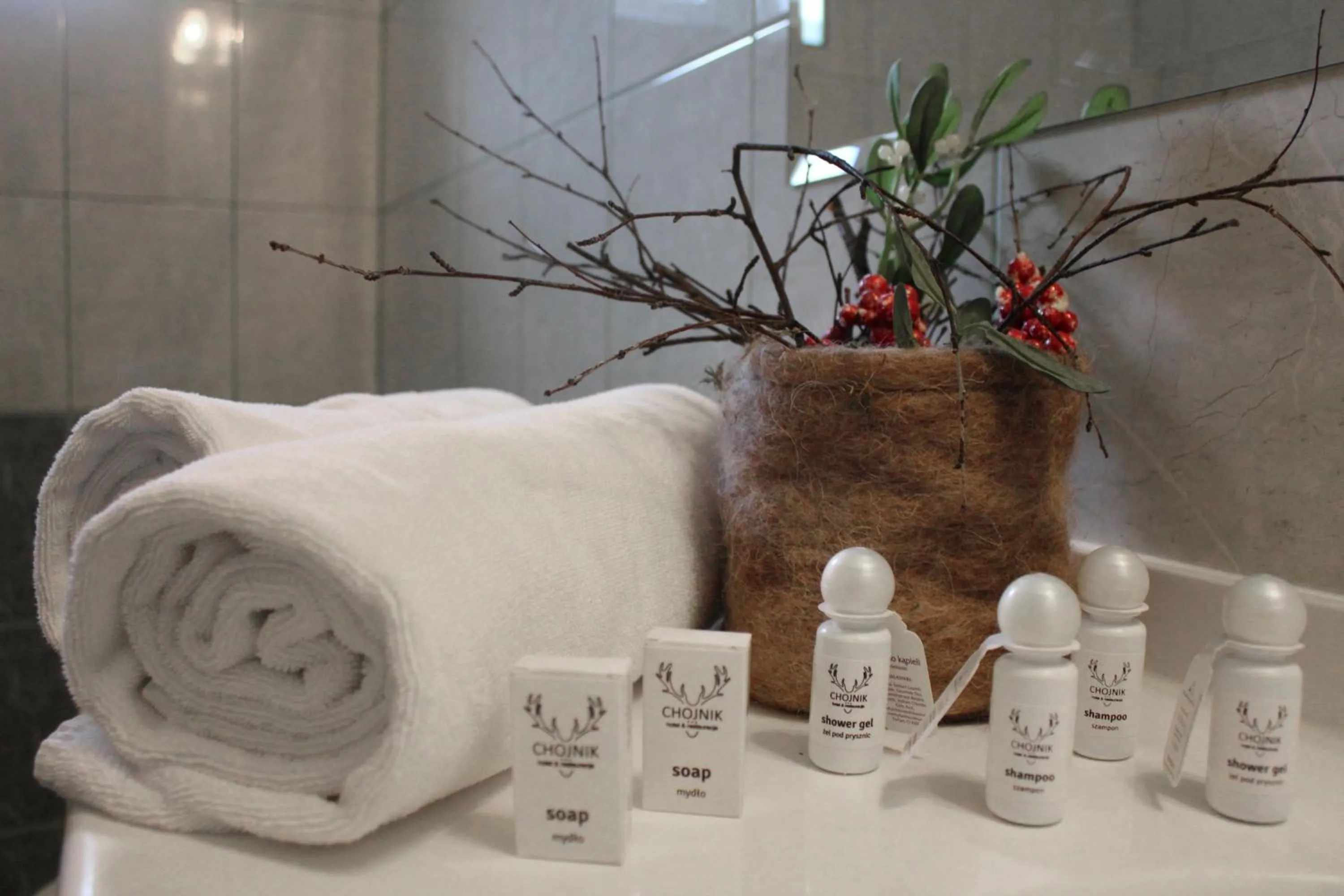 Bathroom in Hotel Chojnik