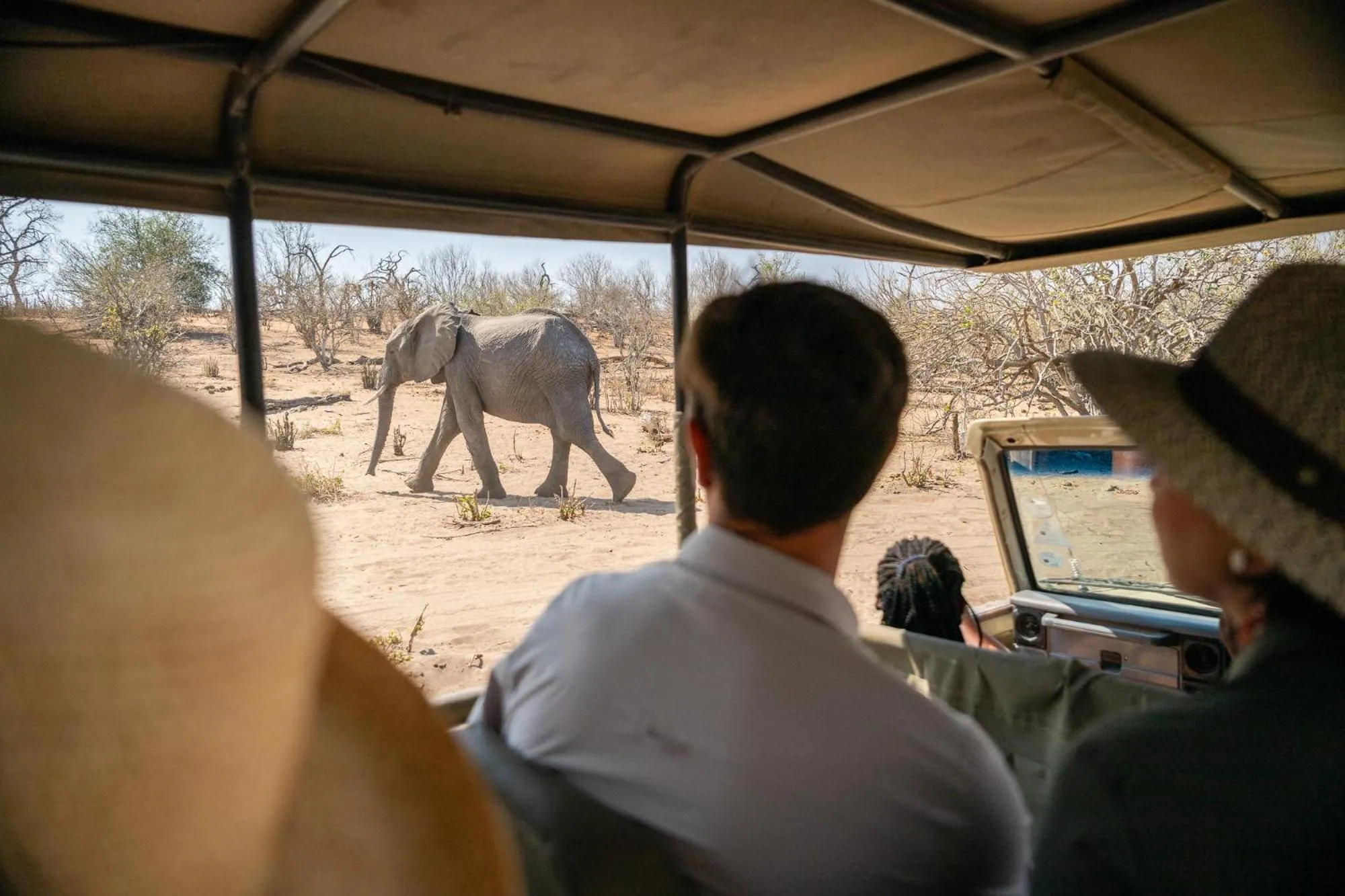 Animals in Chobe Water Villas